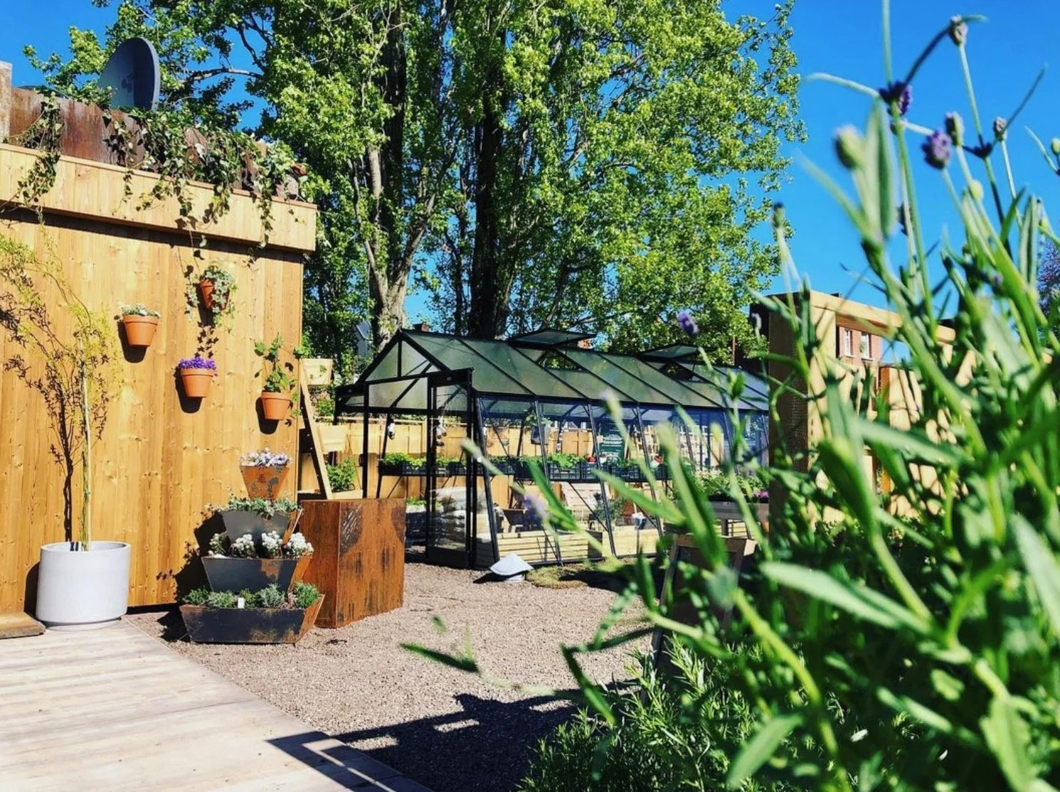 Urbanjungle - 2.jpeg