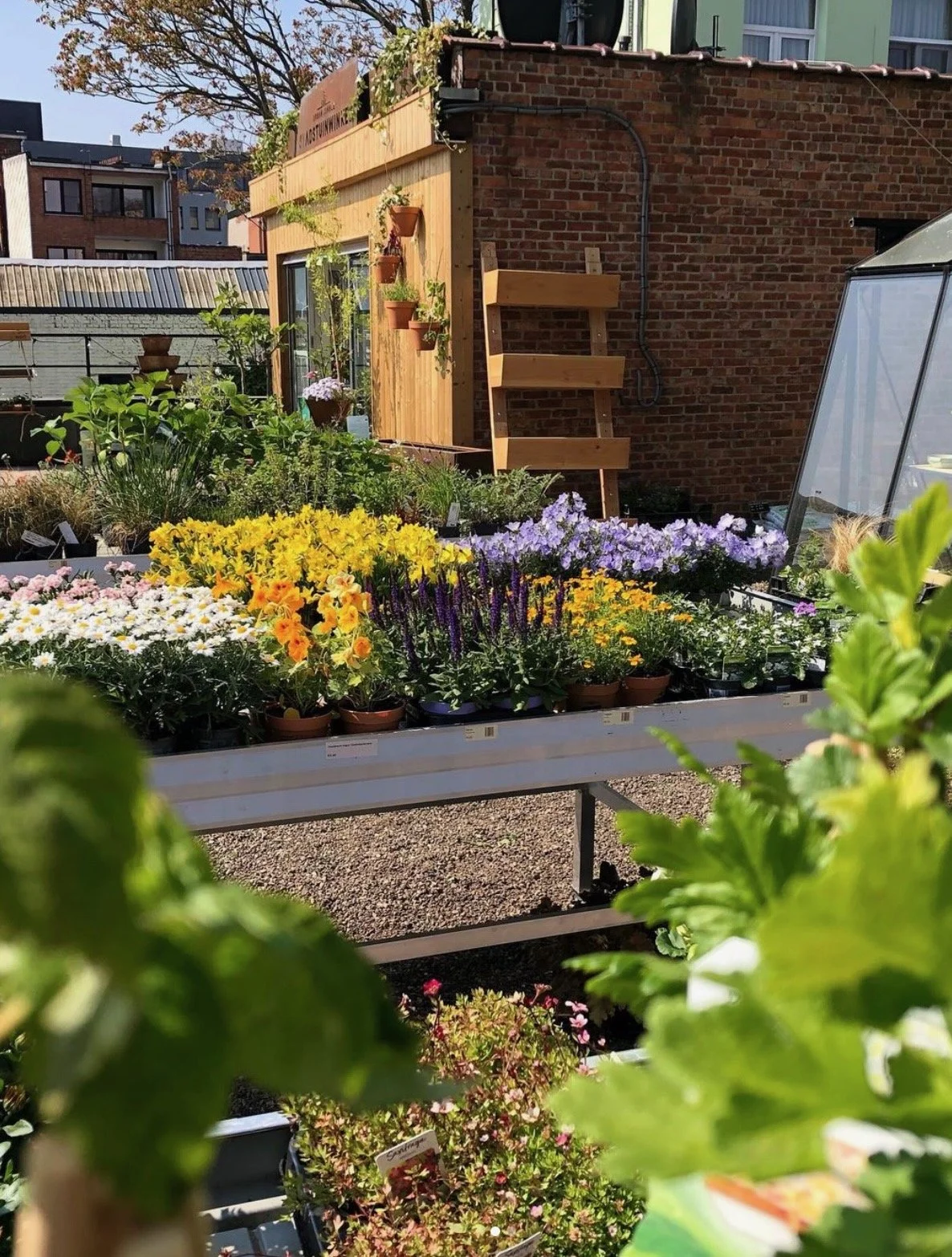 Urbanjungle - 1.jpeg