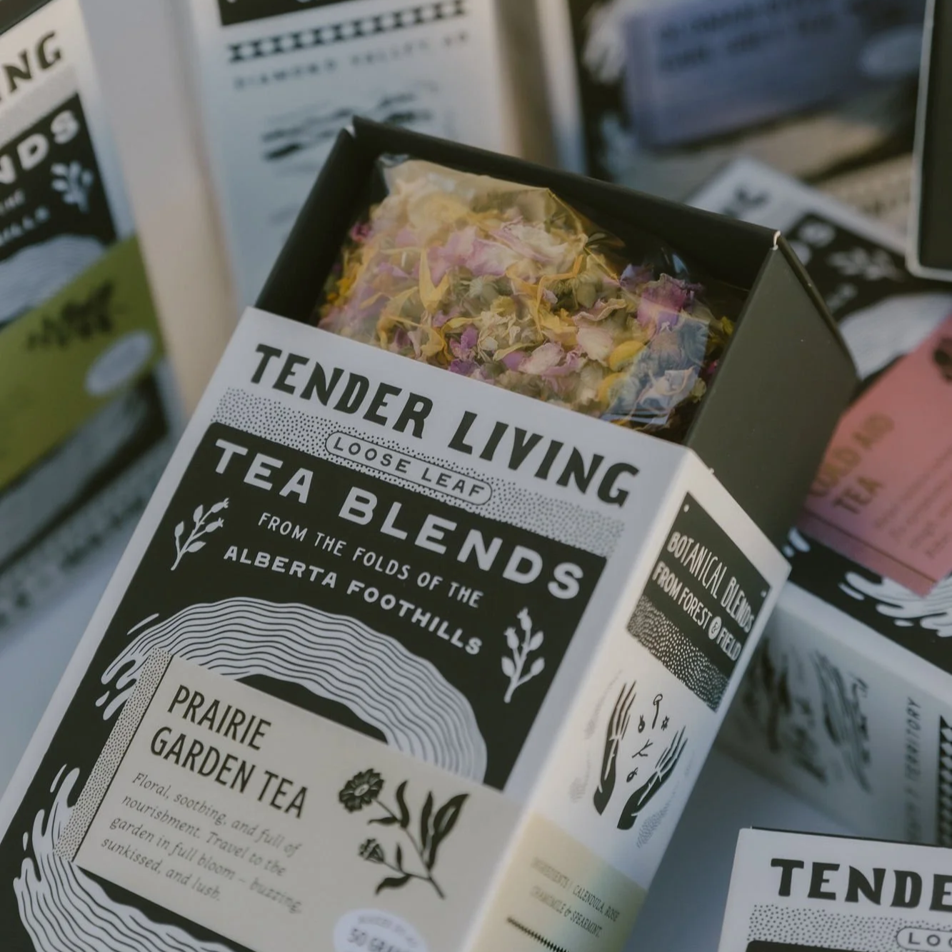 Tender Living Farm 🚀⭐