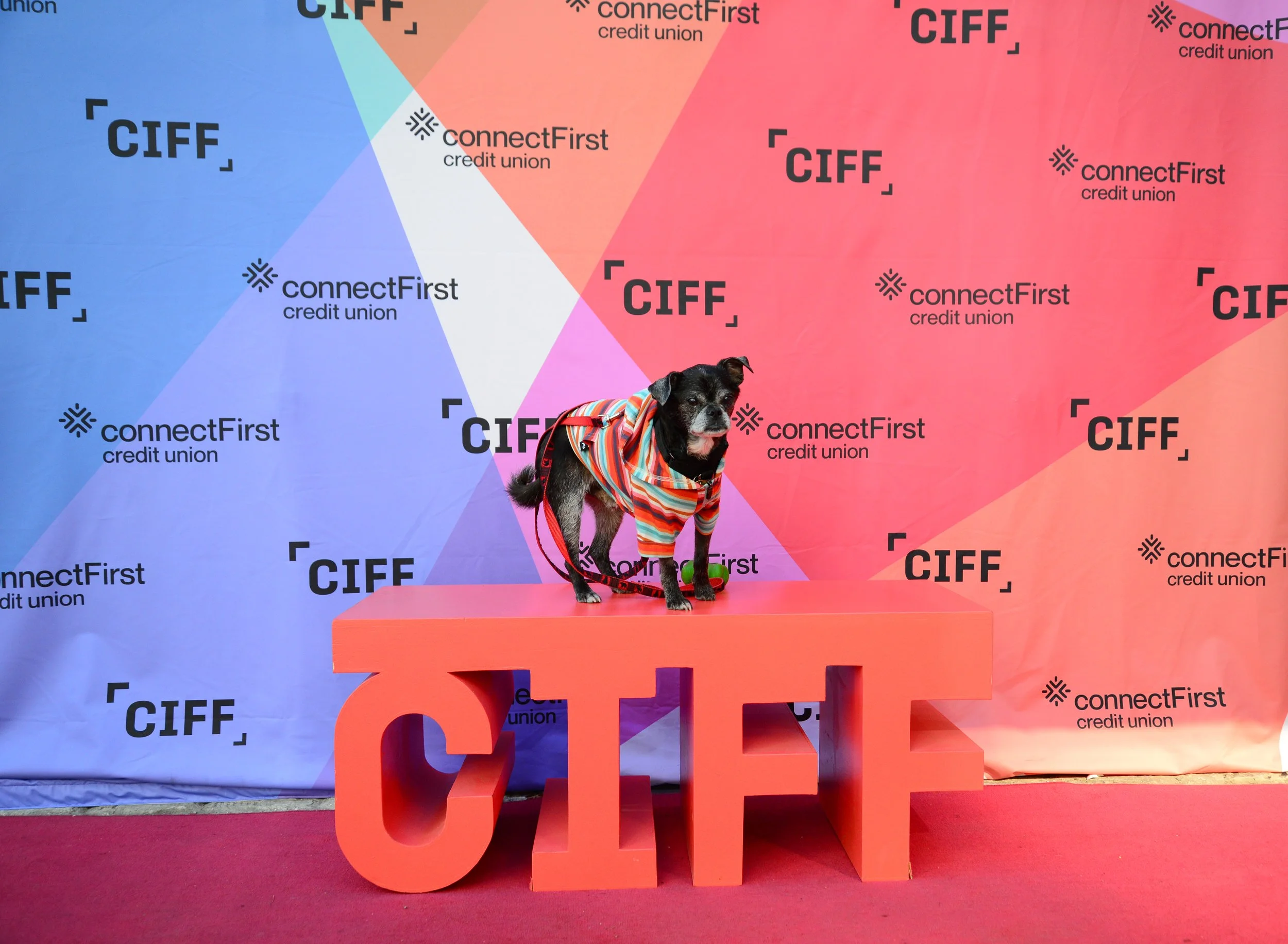 CIFF2022_LuciaJ_1001_3973_edit.jpg