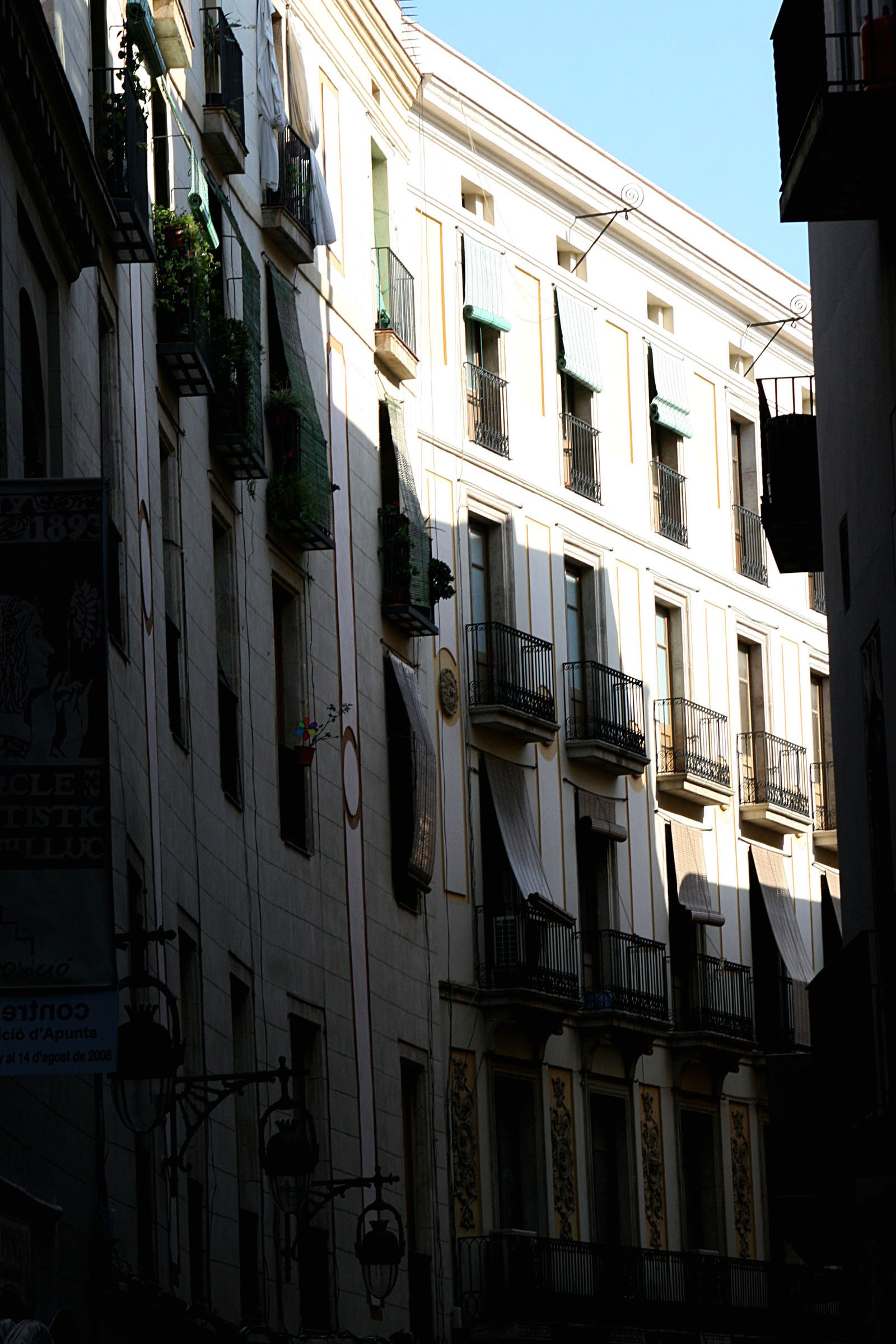IMG_0570AA.jpg