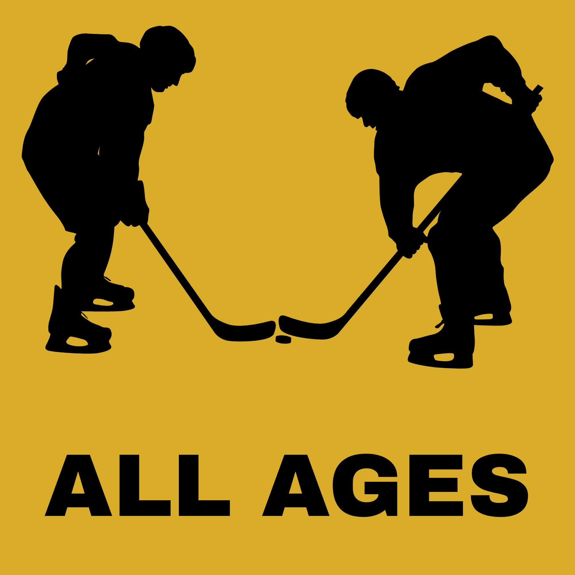 Stick and Puck