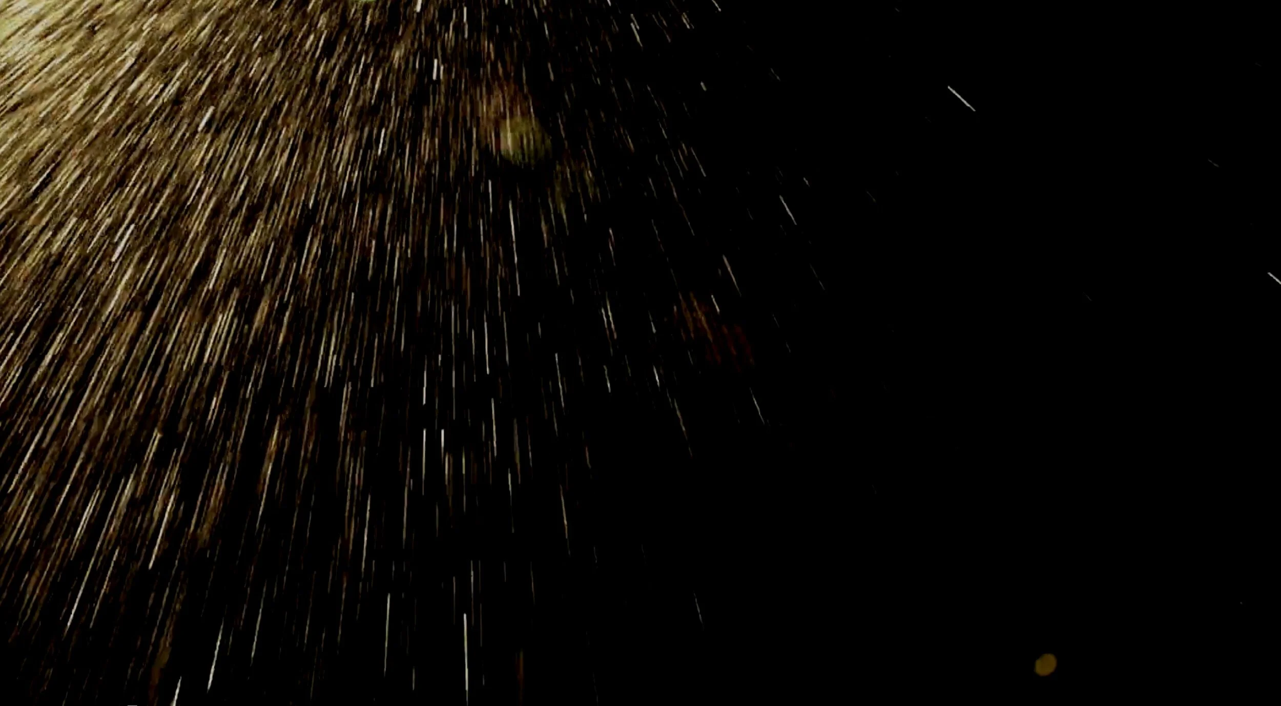 Screenshot 2024-03-15 at 1.27.25 PM.jpg