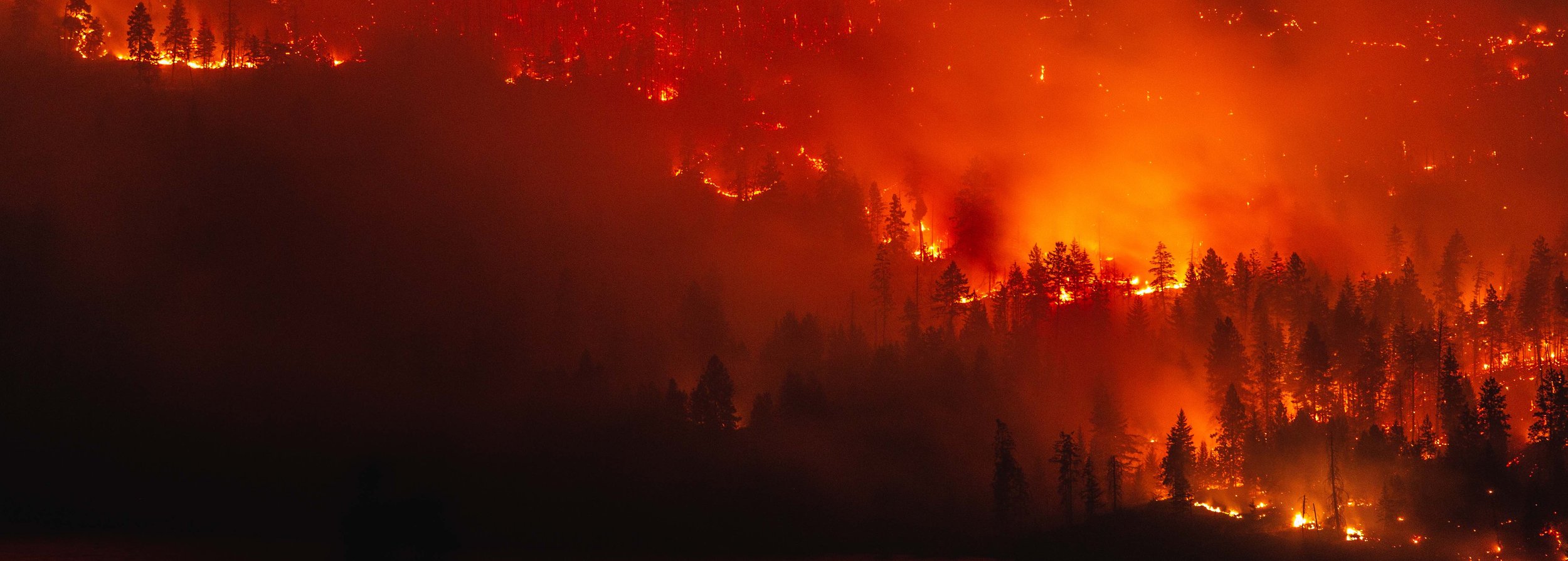 LA_Fires2.jpg