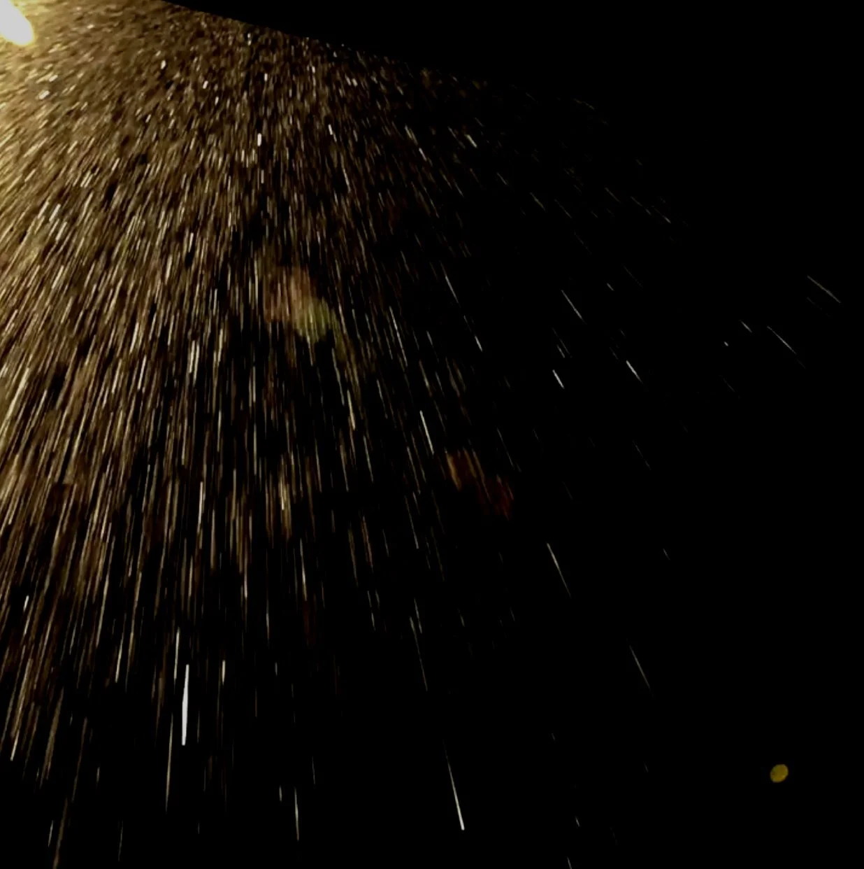 introBG.jpg