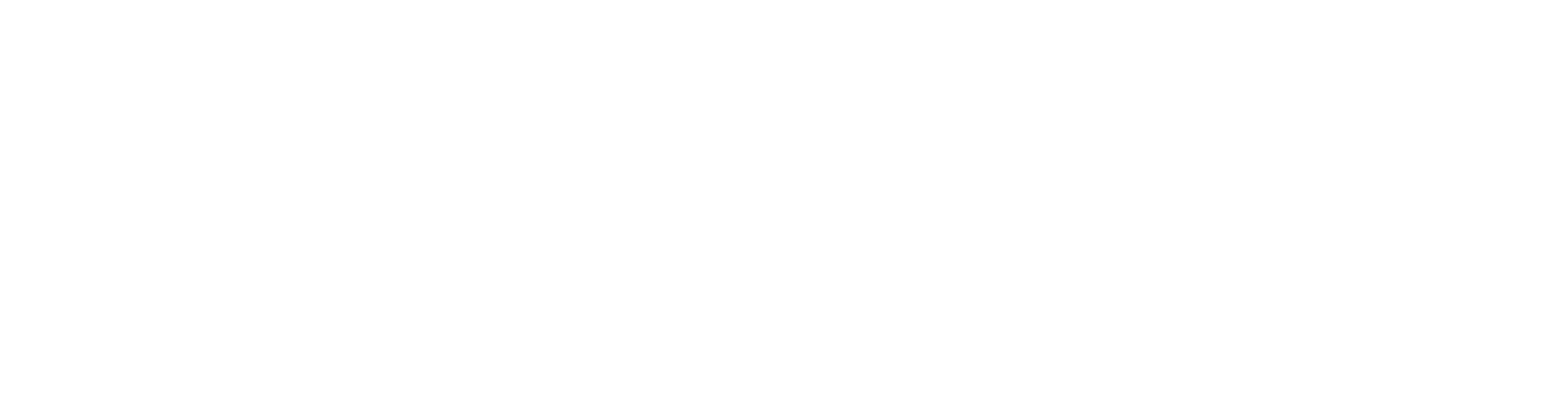 2ZeroLabs Classic Logo Wht.png
