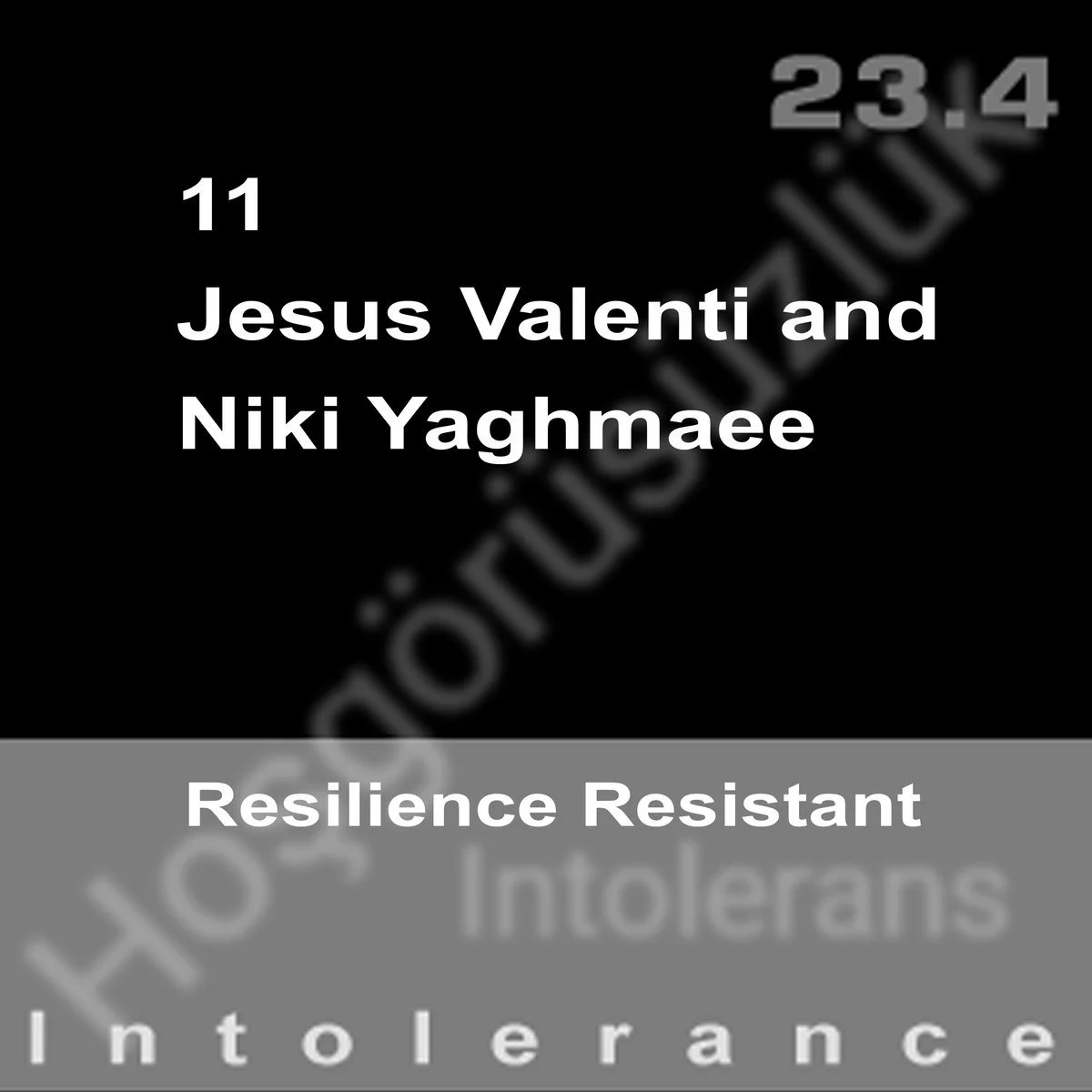 Religious book cover with the number 11, mentioning Jesus Valenti and Niki Yaghmaee, titled 'Resilience Resistant' against a background with the words 'Tolerance,' 'Intolerances,' and 'Tolerance' in a darker section.