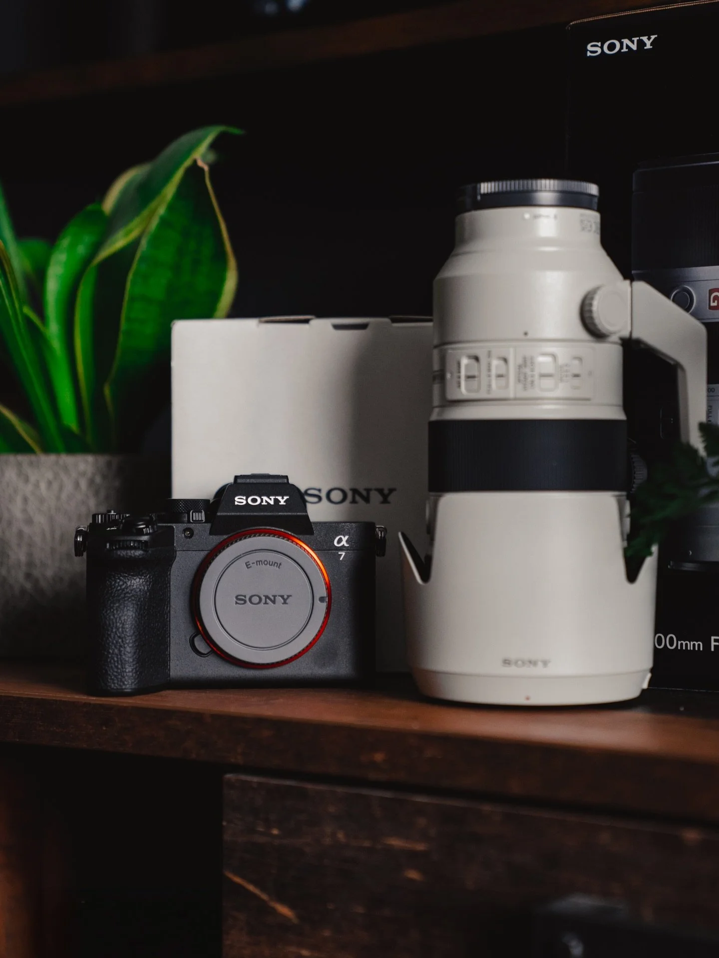 It&rsquo;s almost time 🍾

I thought I&rsquo;d take the delivery of a new camera and lens today as a good excuse for a lil post since there&rsquo;s not any weddings at the moment.

BUT I&rsquo;m just three weeks away from my first of the year!

Plann