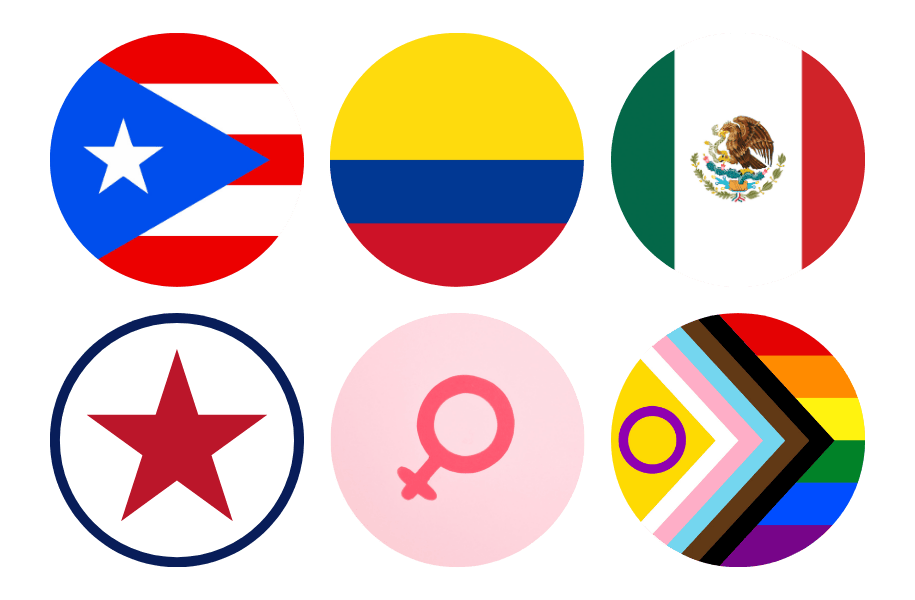 Six circular icons with flags and symbols representing LGBTQ+ Pride flags and symbols. Top row: Puerto Rican flag, Colombian flag, Mexican flag. Bottom row: veteran flag, female gender symbol with pink background, rainbow Pride flag with chevron.