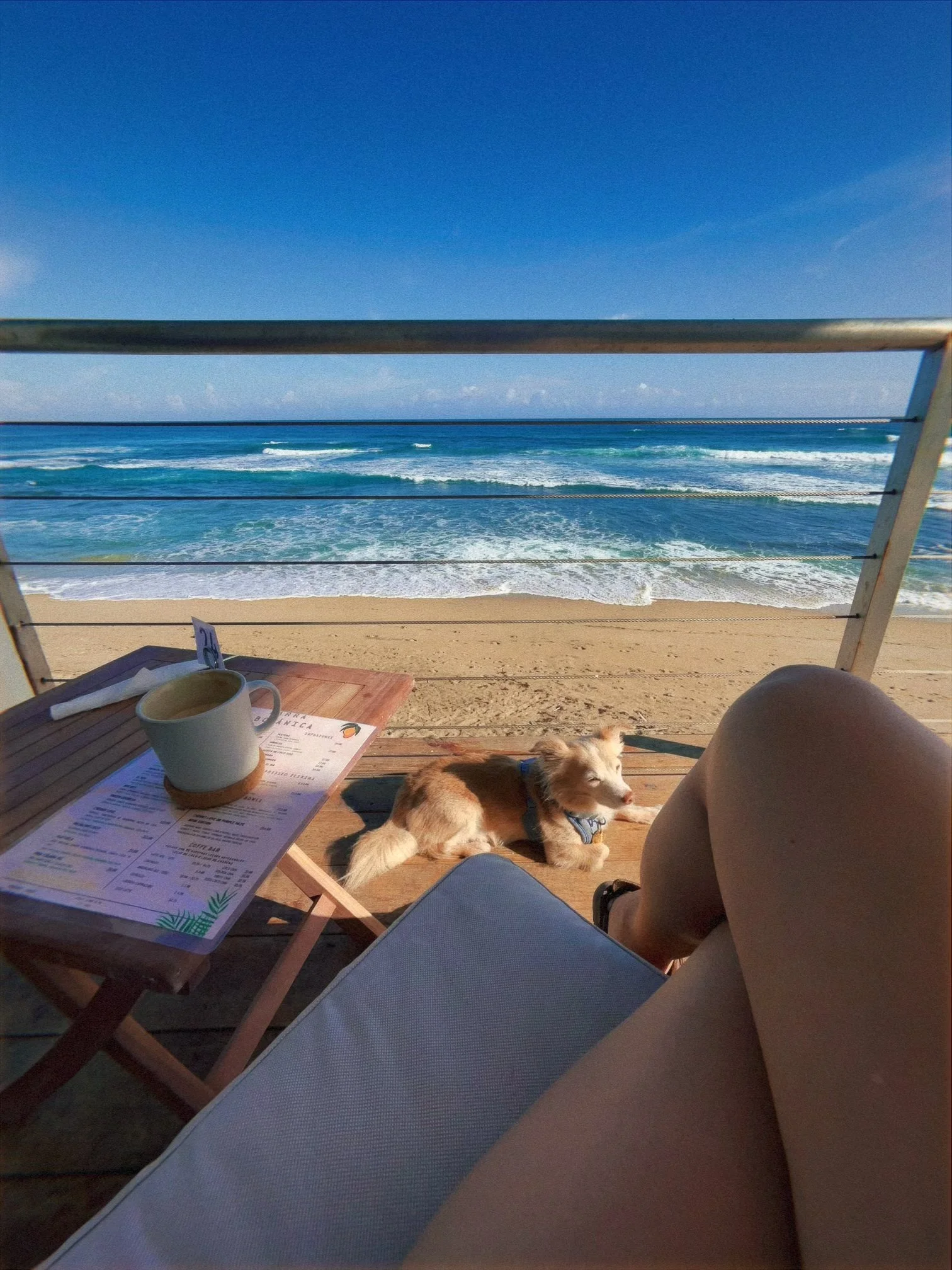 Wellness Website Design: How to Create Calm, Trust, and Bookings Online