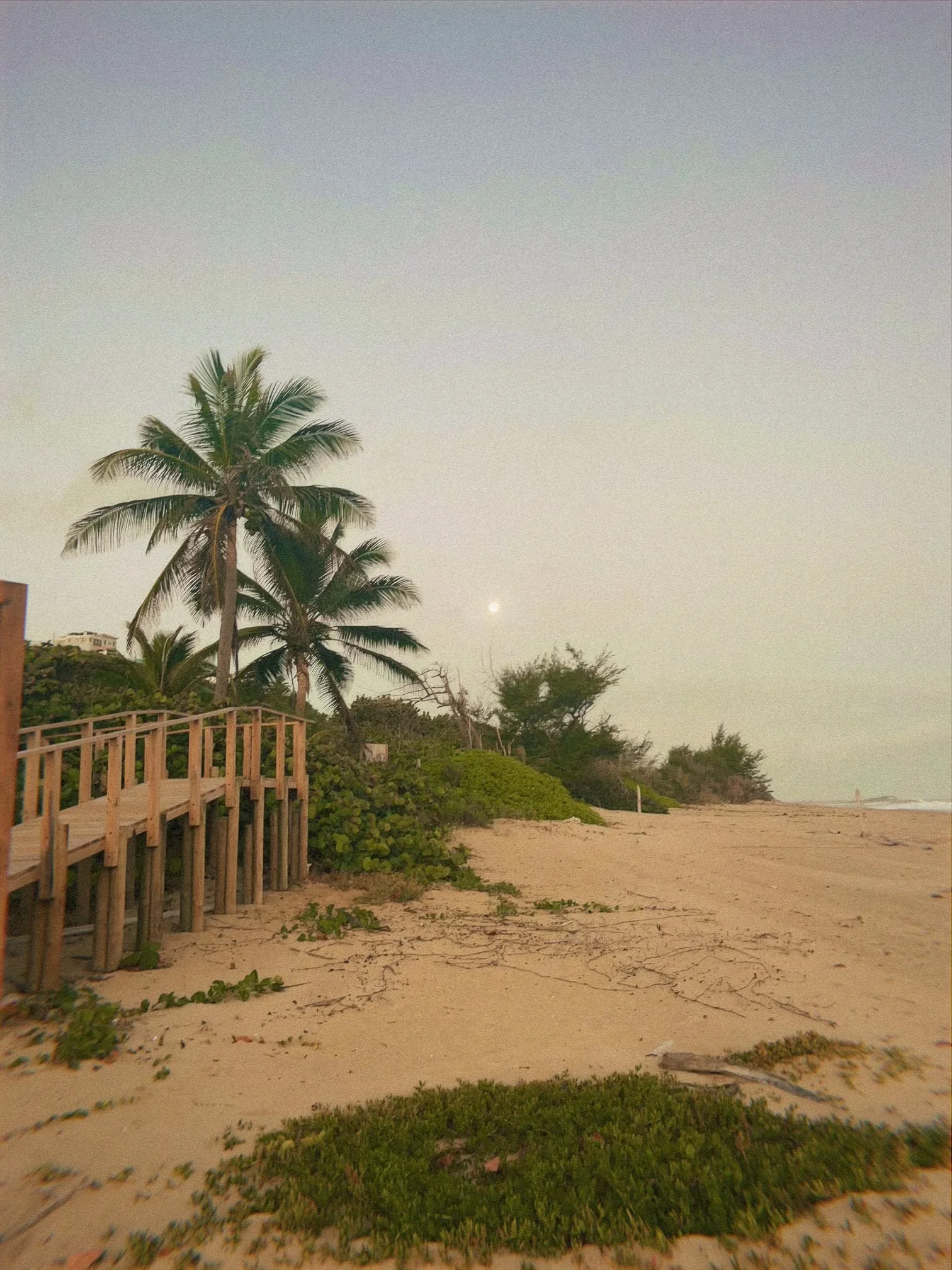 Airbnb Website Design: Why Hosts Are Building Their Own Booking Hubs