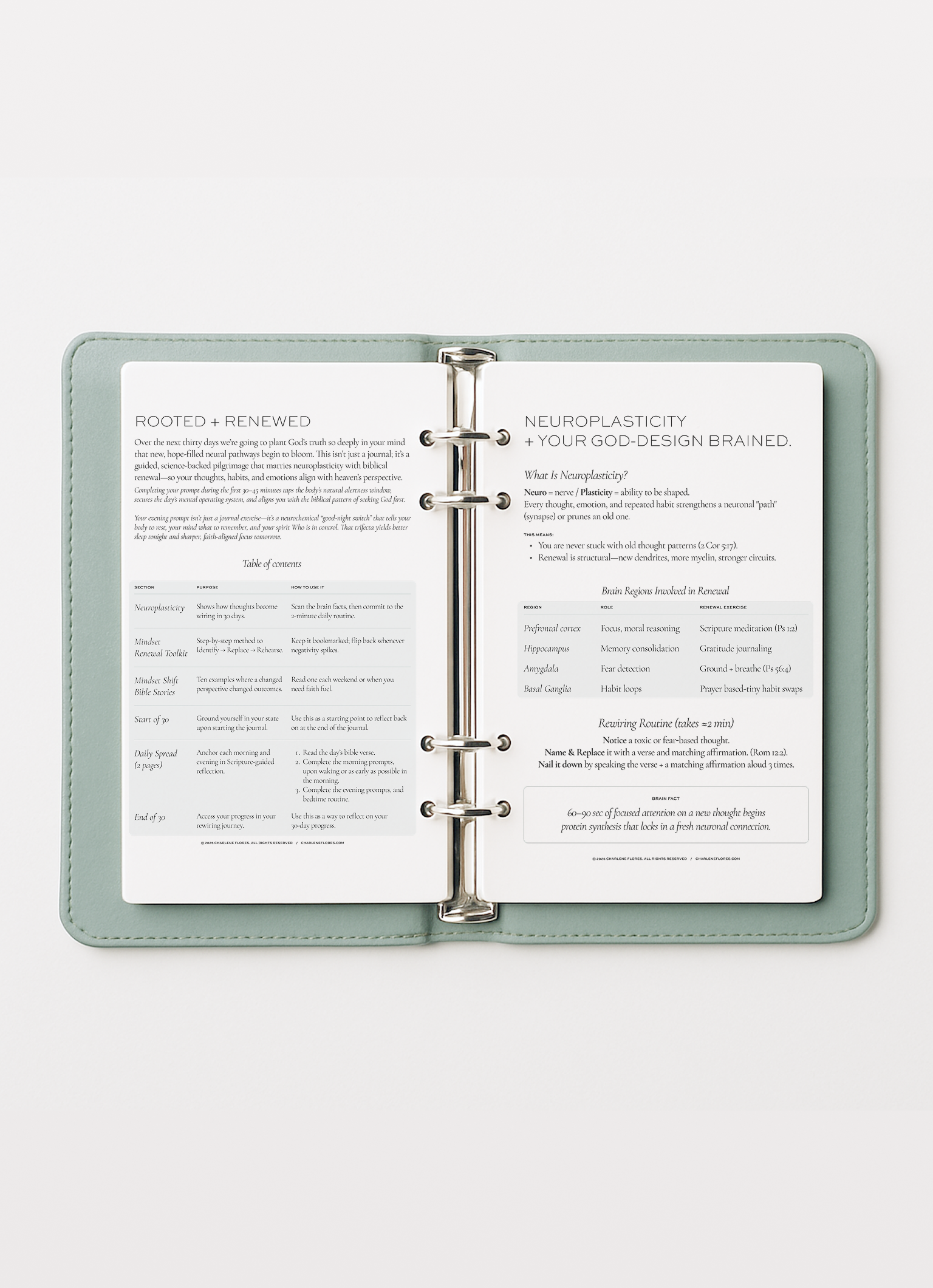 RootedRenewedPlanner_1.png