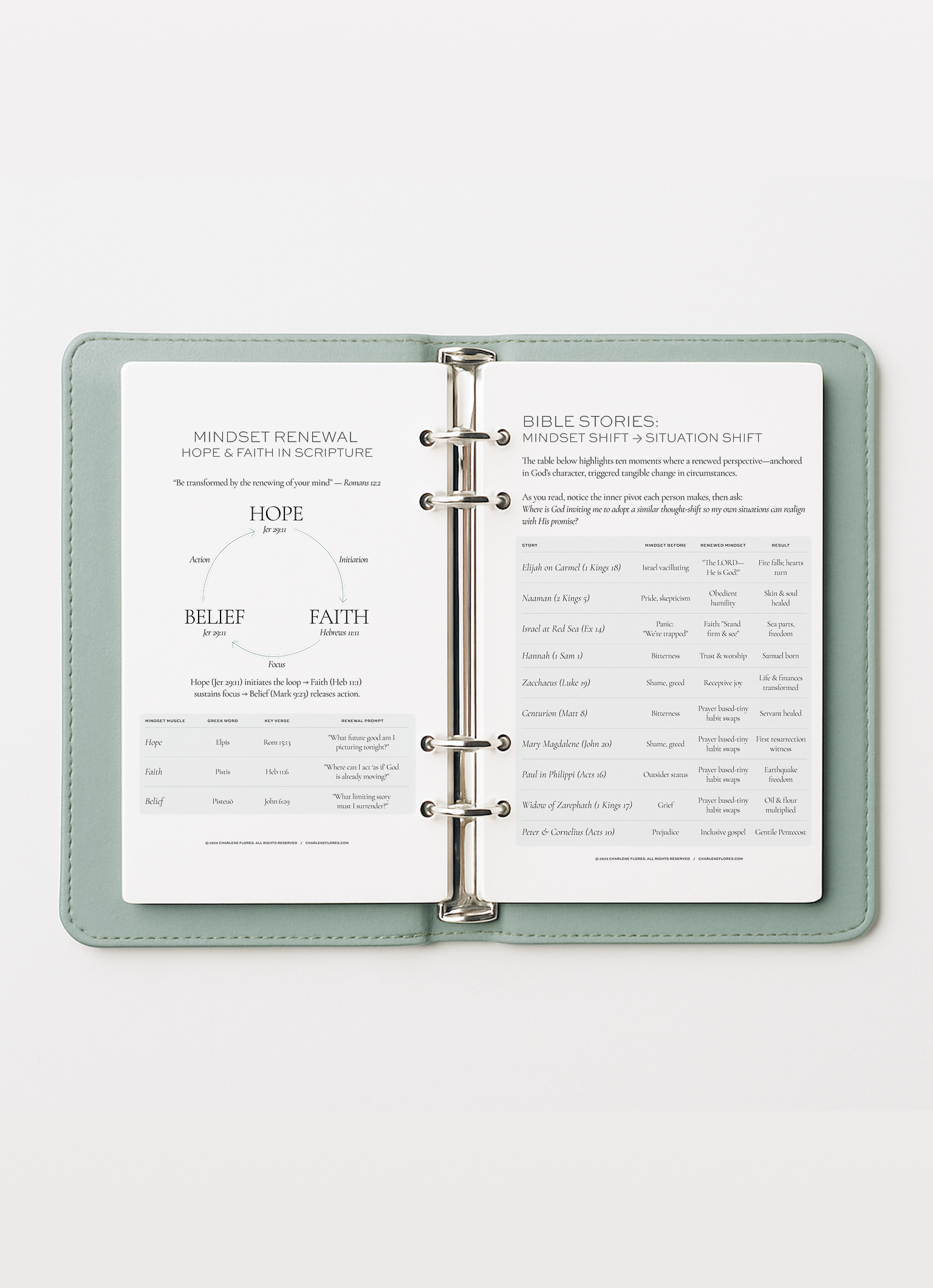 RootedRenewedPlanner_2.png