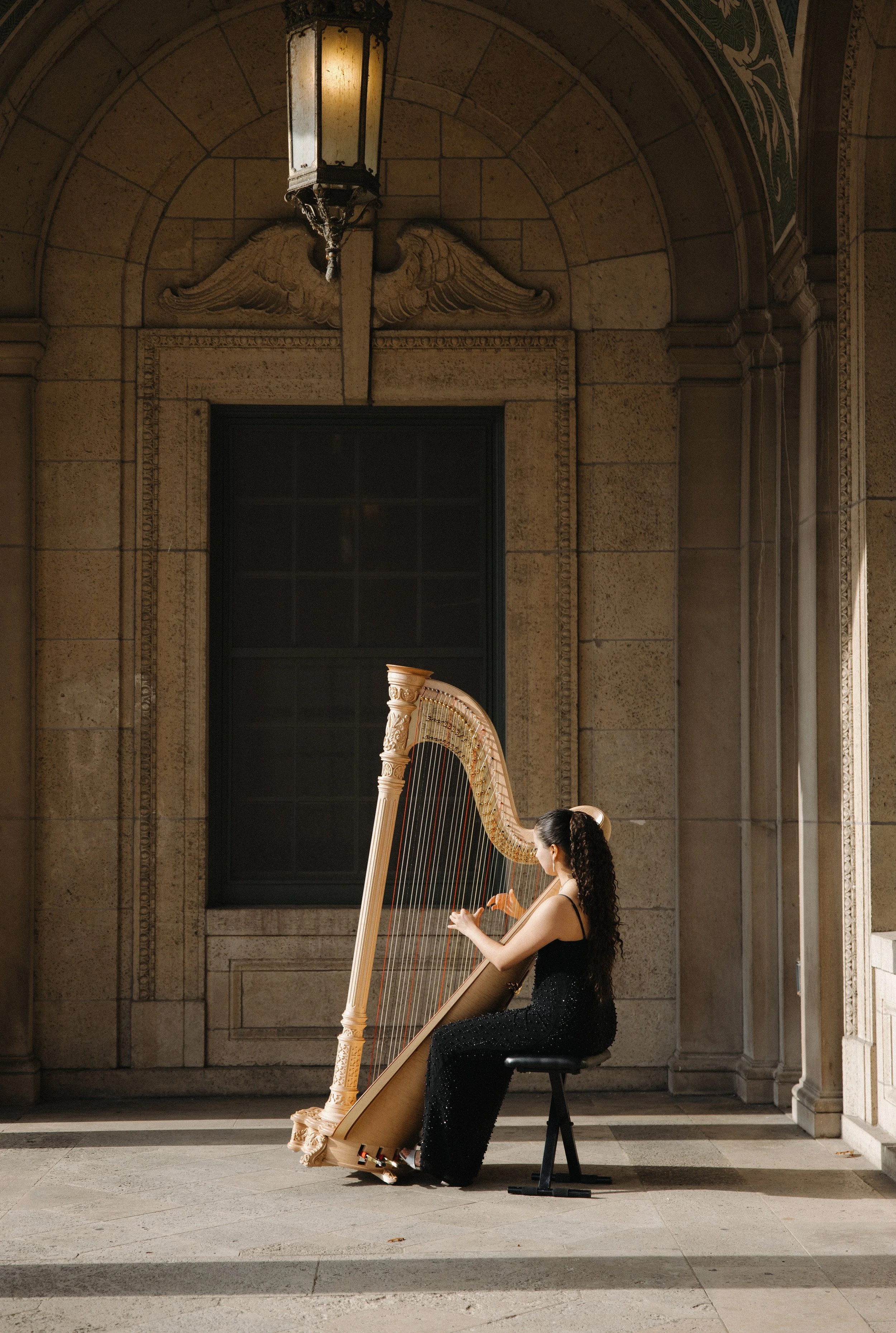 Live Strings &amp; Sensation