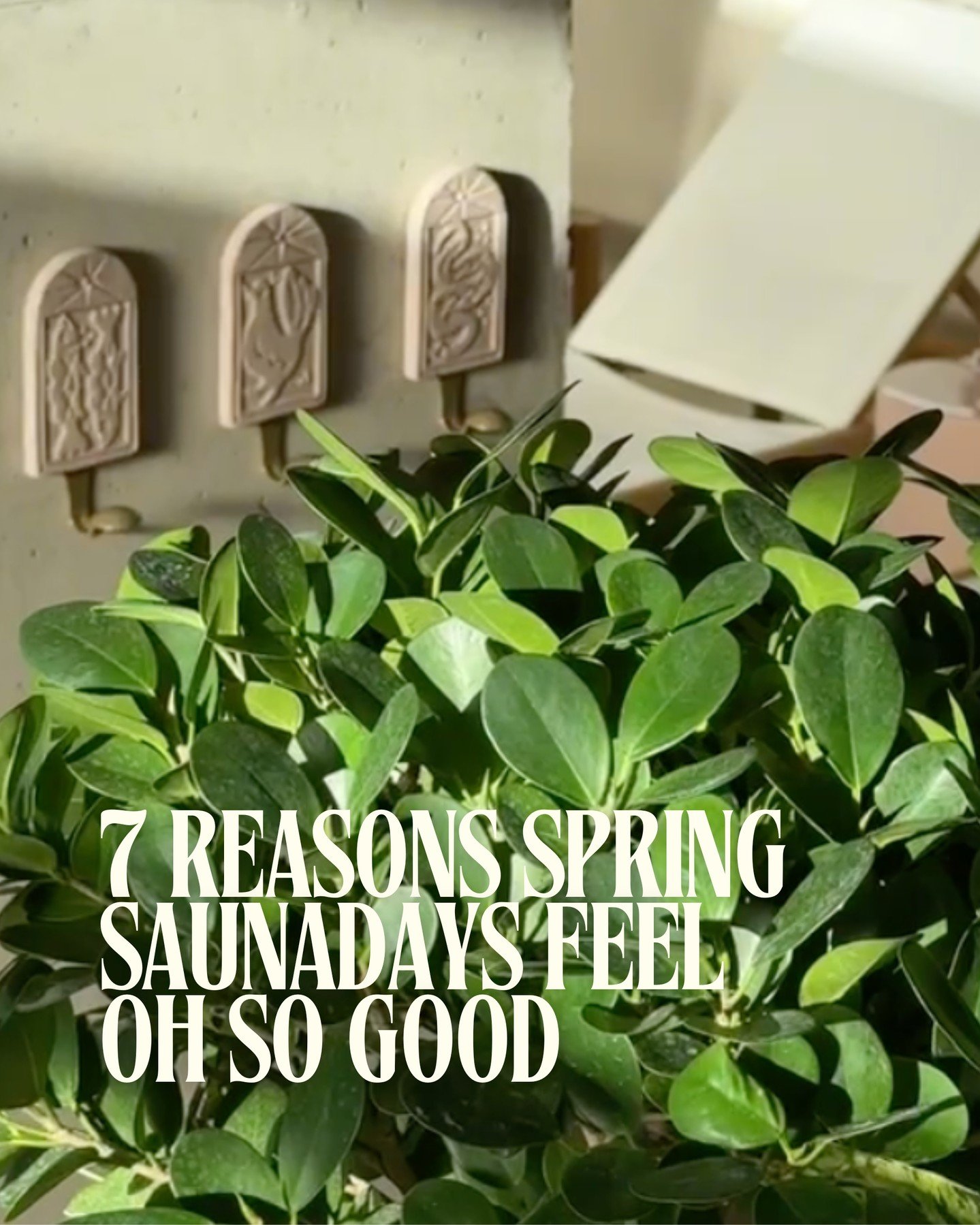 You know the saying: If you don't like the weather in Wisconsin, just wait five minutes...or go to Saunaday. (That's it, right? 😉) ⁠