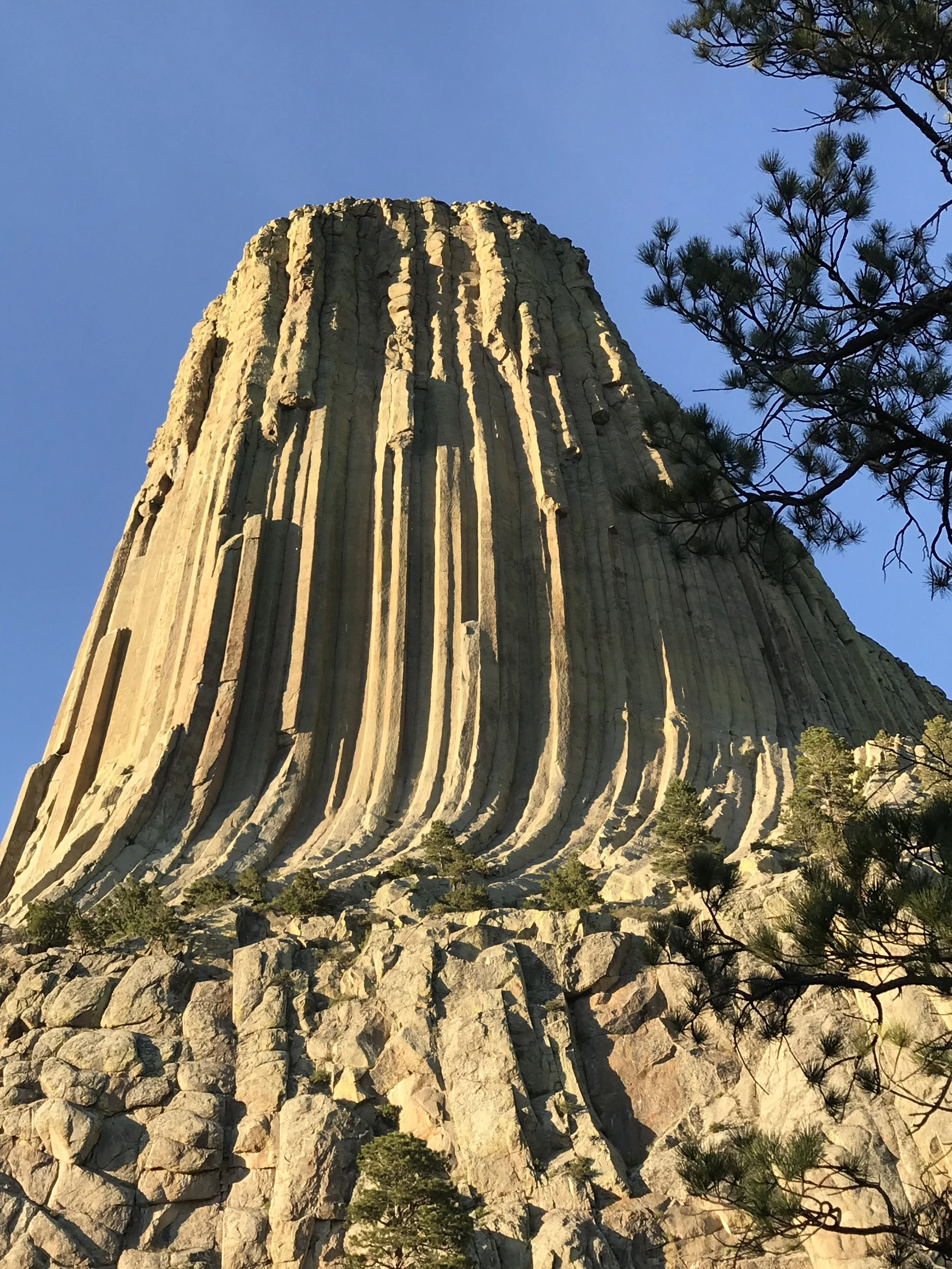 Black Hills things to do Devils Tower