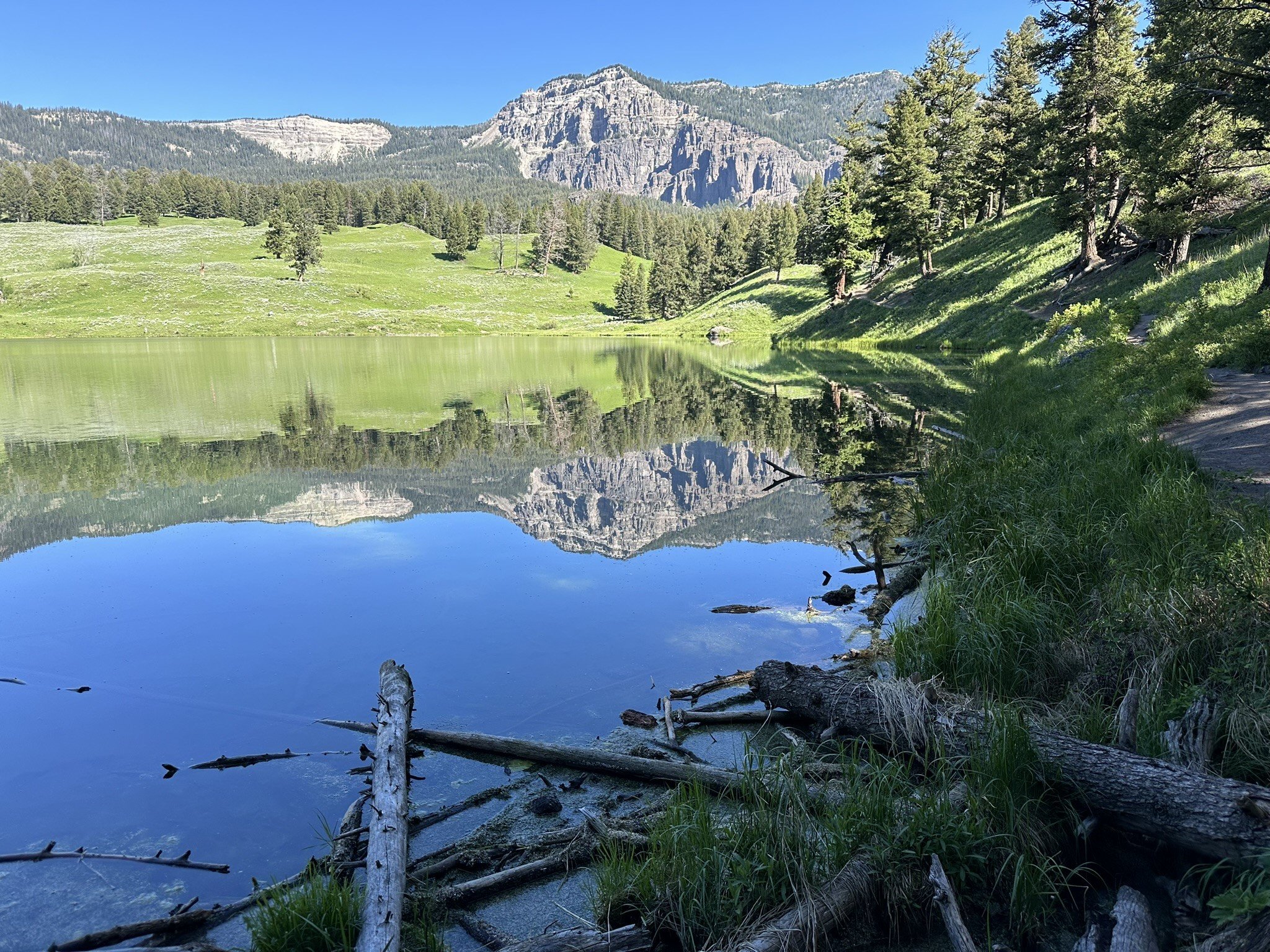 Yellowstone Trout Lake