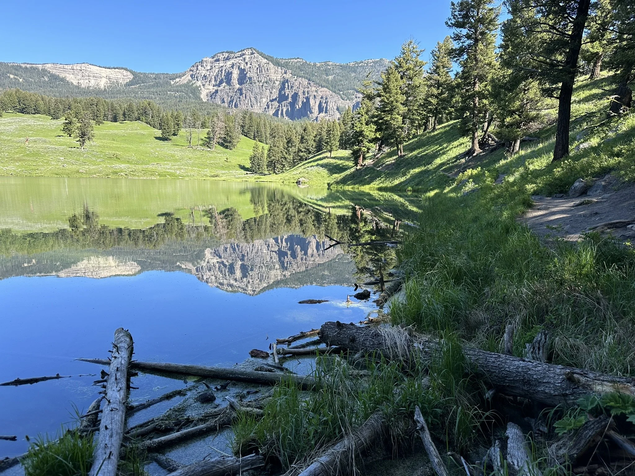 Trout Lake