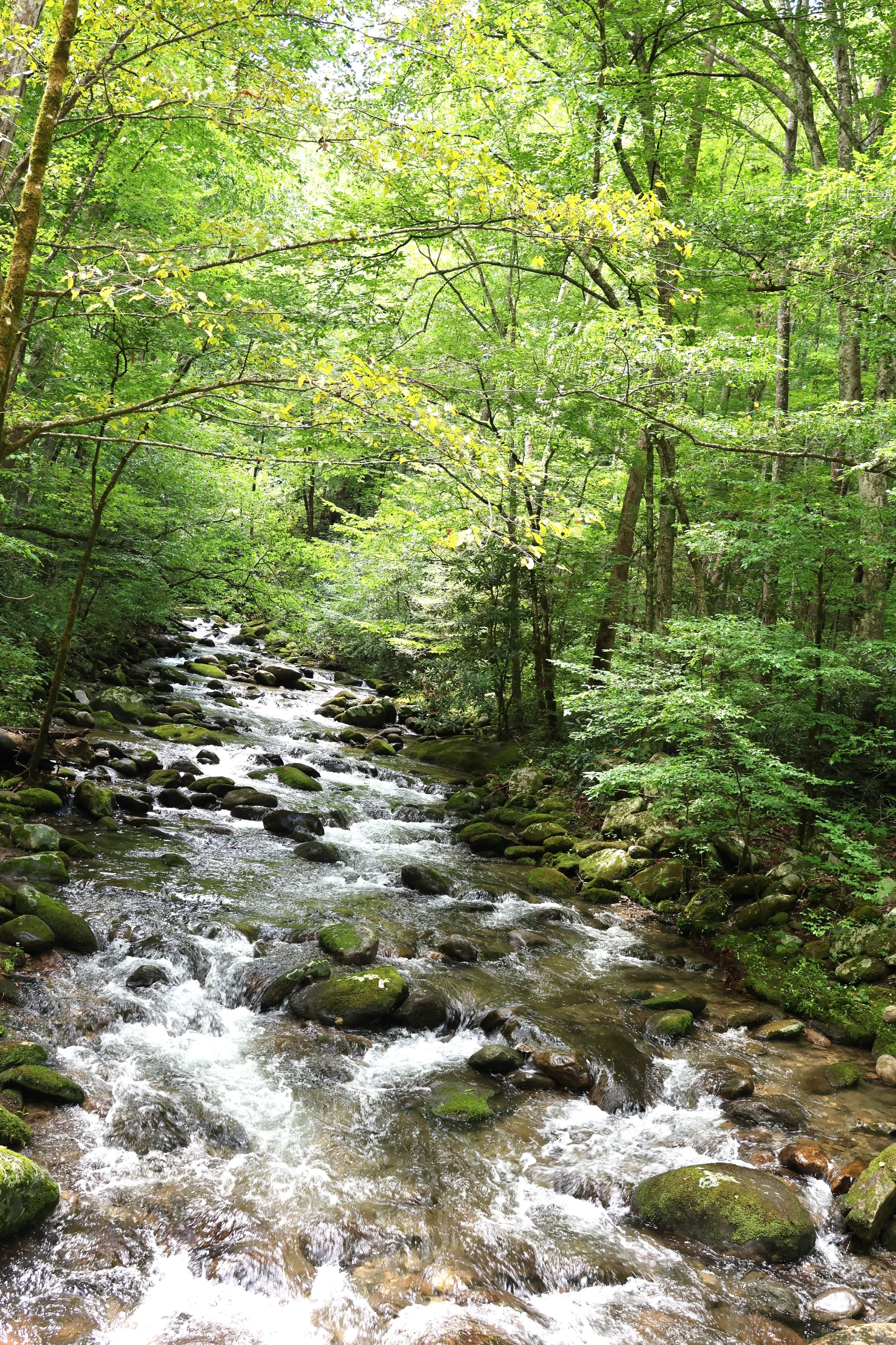 Smoky Mountains National Park