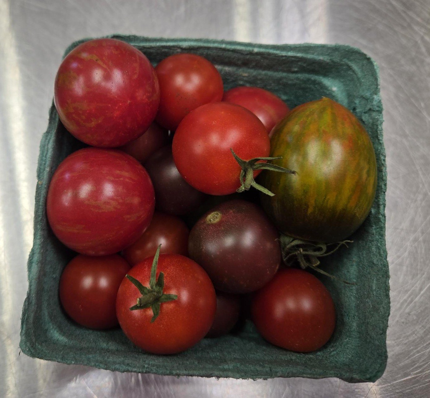 YWCA-Delaware-Tomatoes-1.jpg