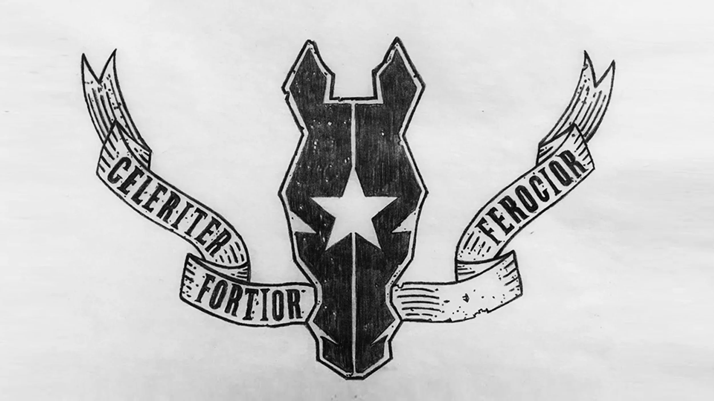 Flag (Rough Draft)