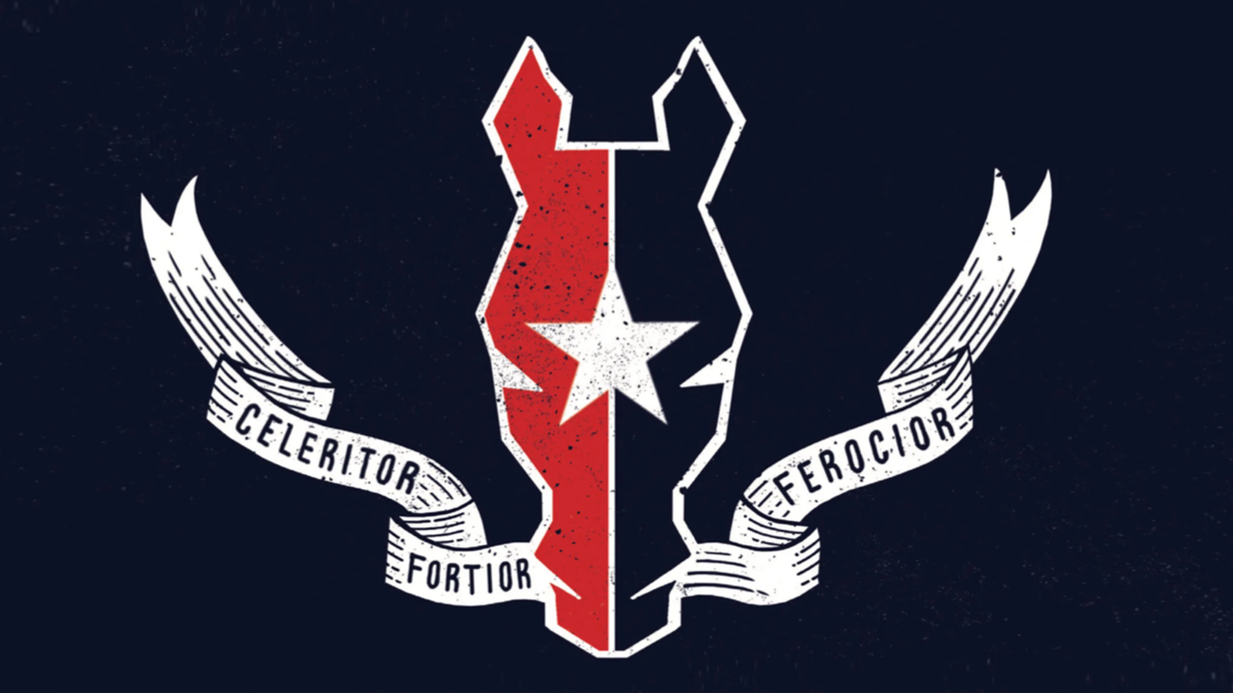 Flag (Final Design)