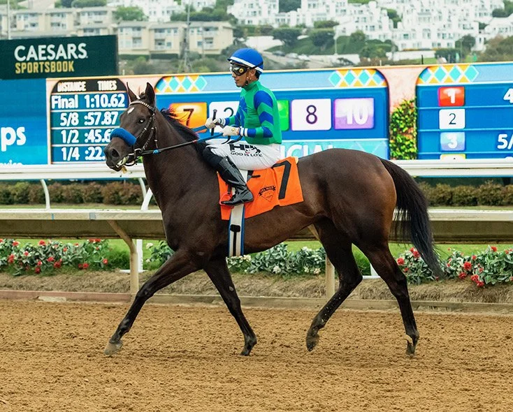 Christel Clean After Debut Win