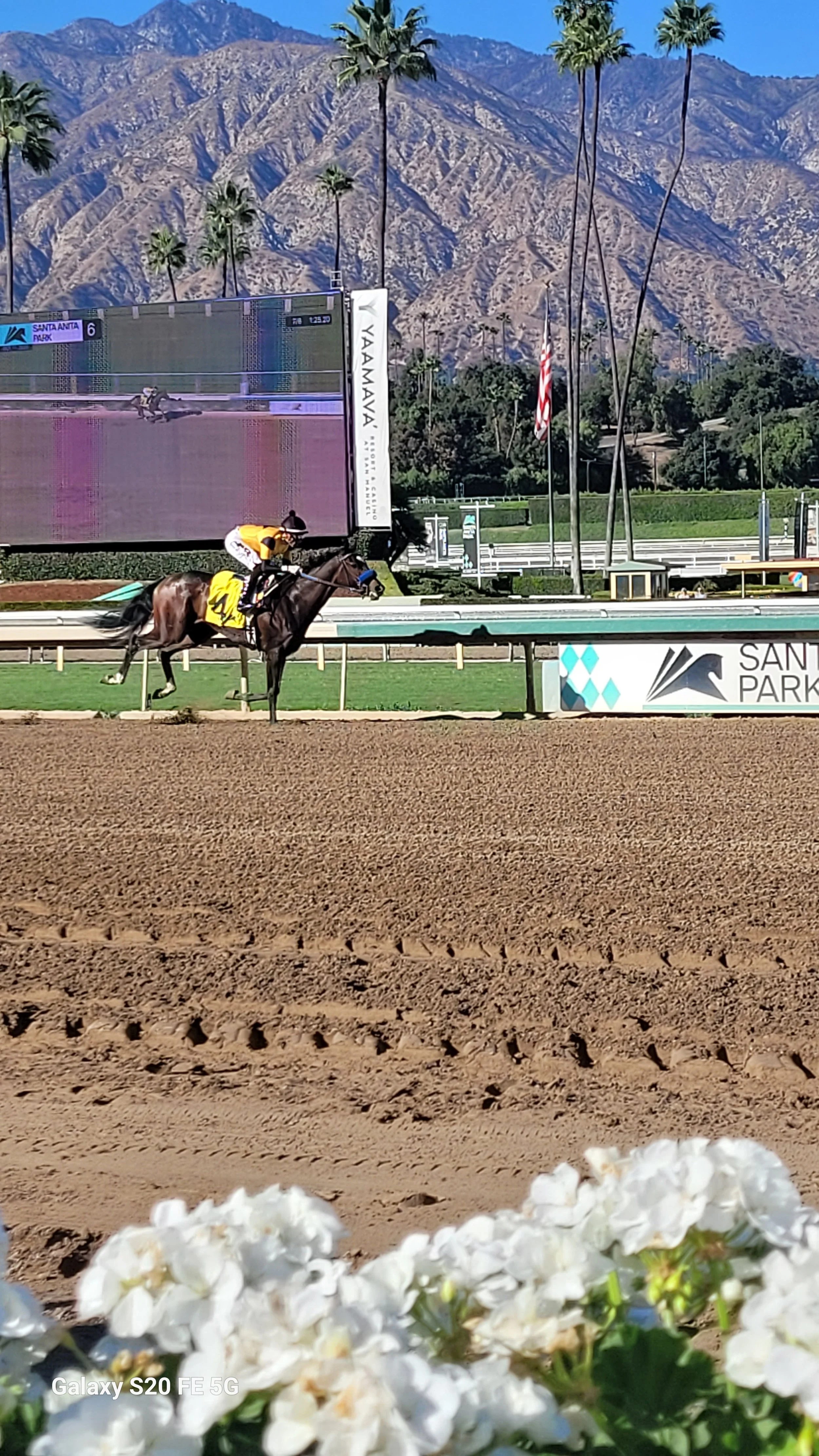 Oct 2025 - Super Corredora Winner