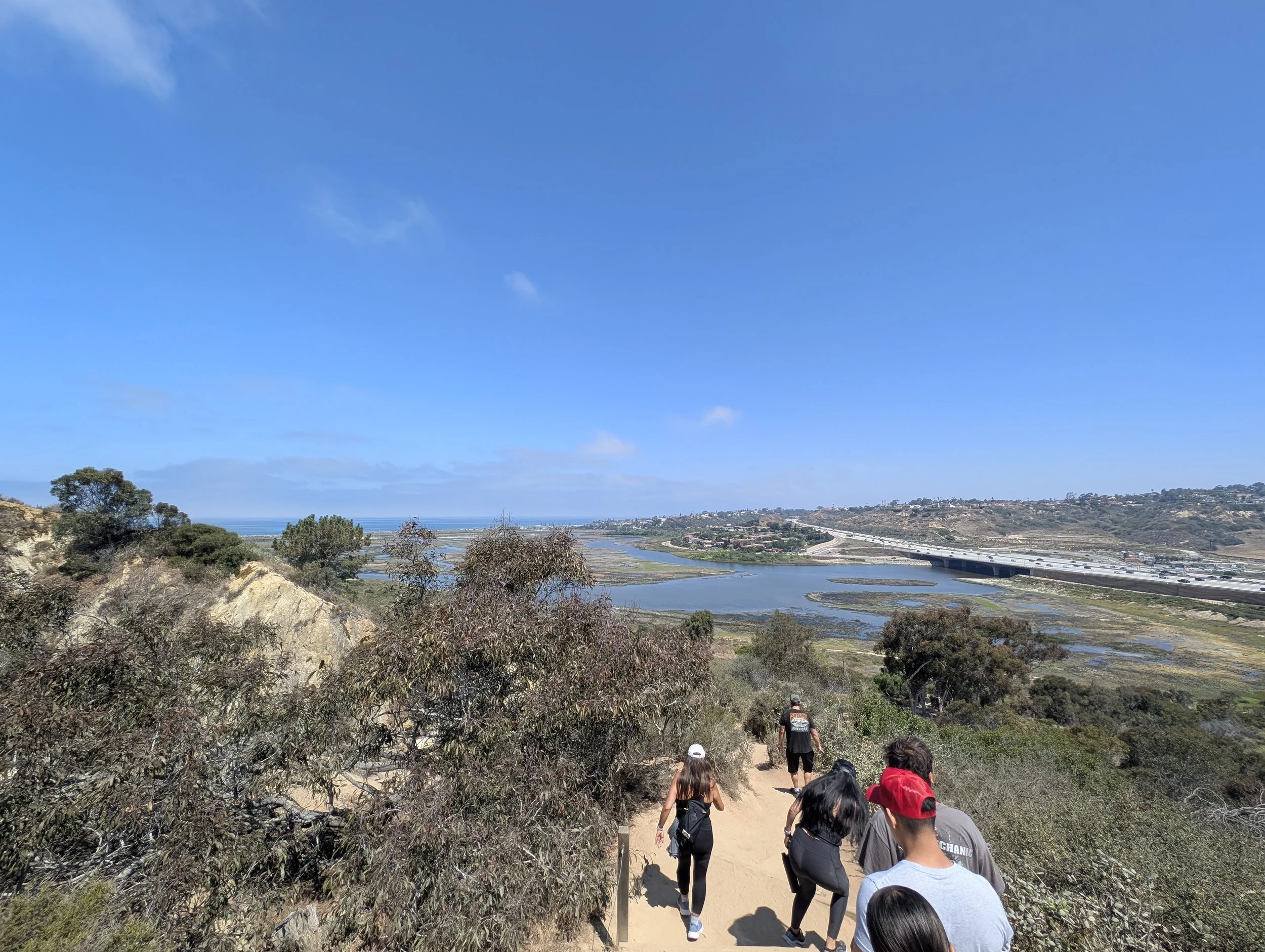 Rooted & Rising - Community HIke