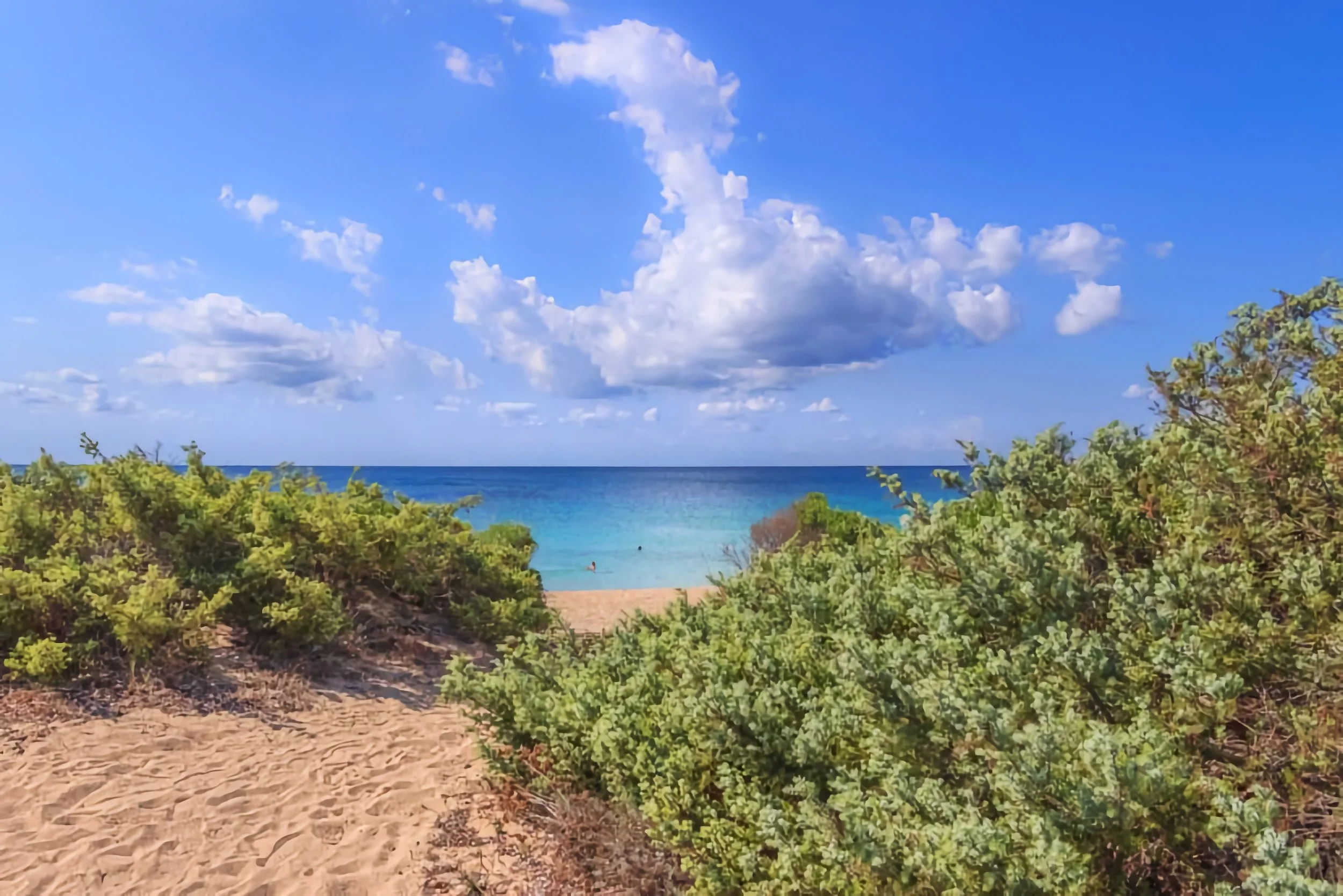 Spiaggia della Riserva naturale Salina Dei Monaci