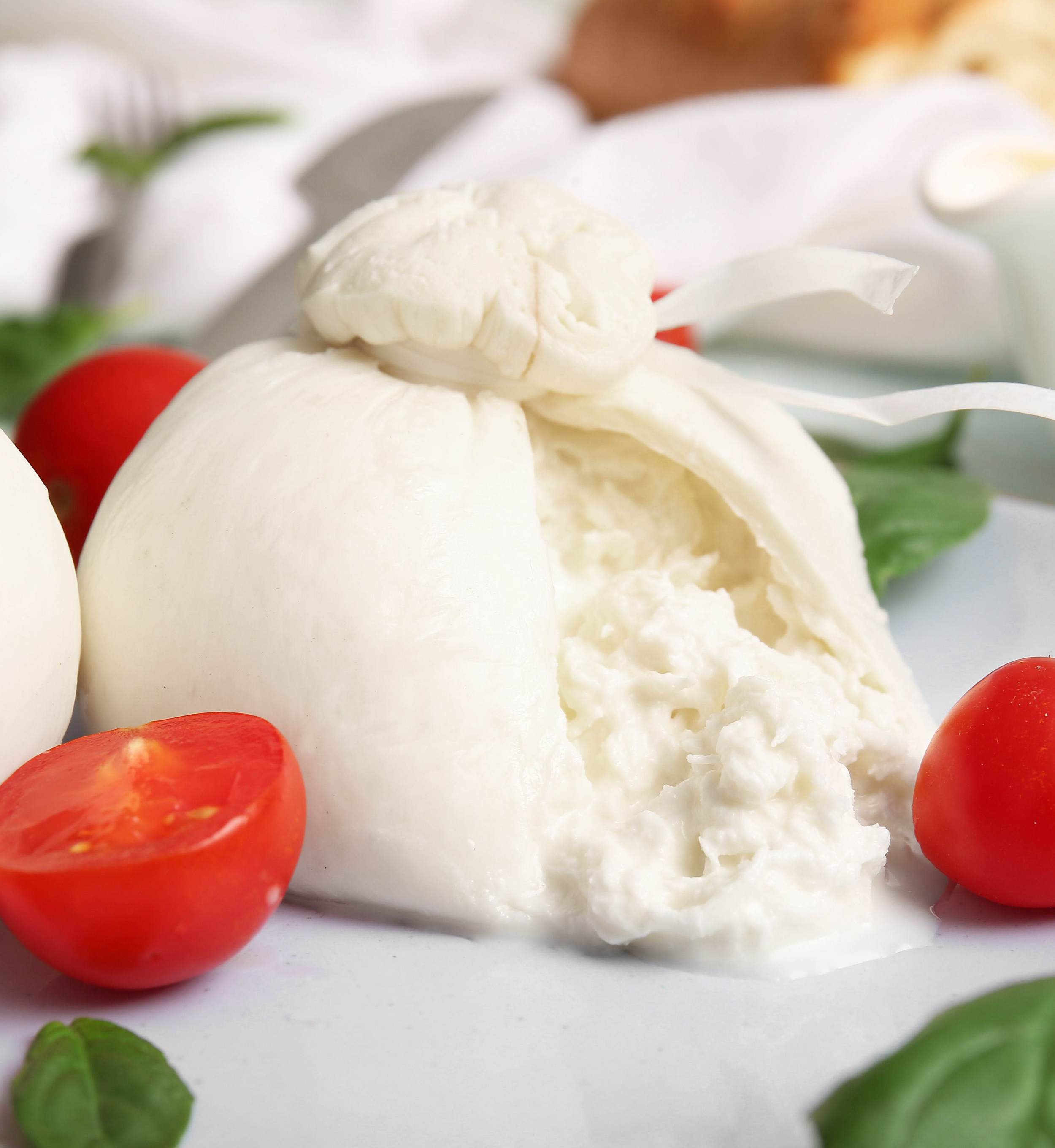Fresh burrata cheese