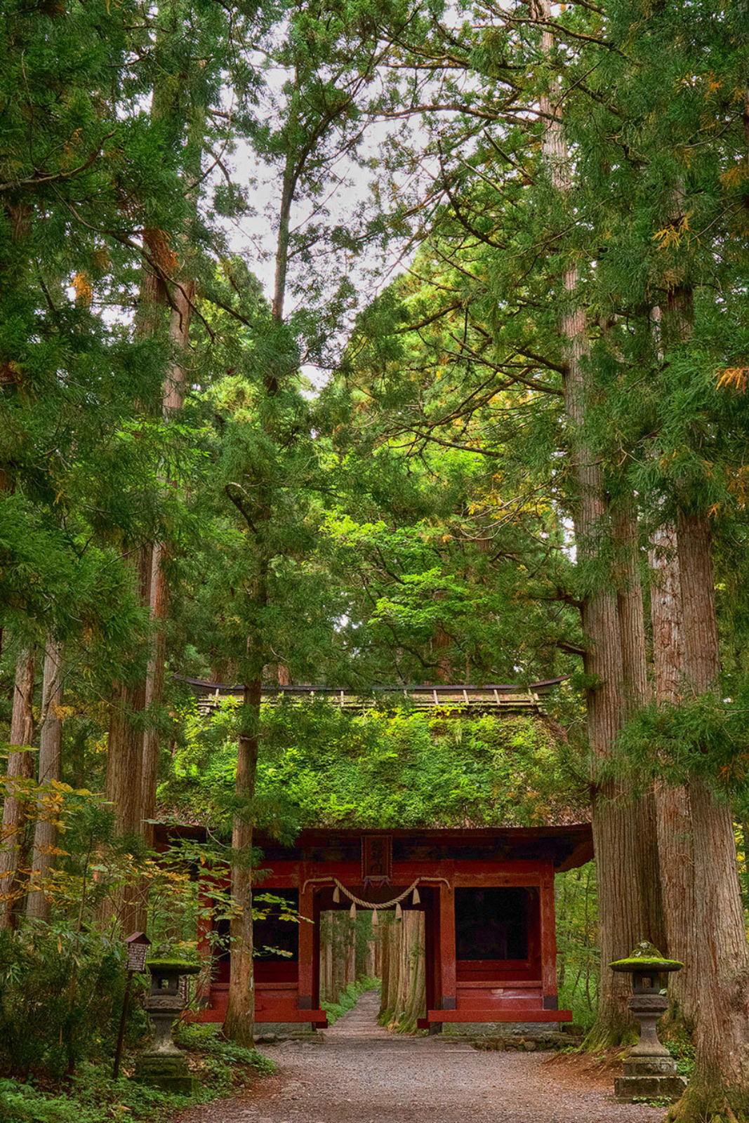 Togakushi Shrine