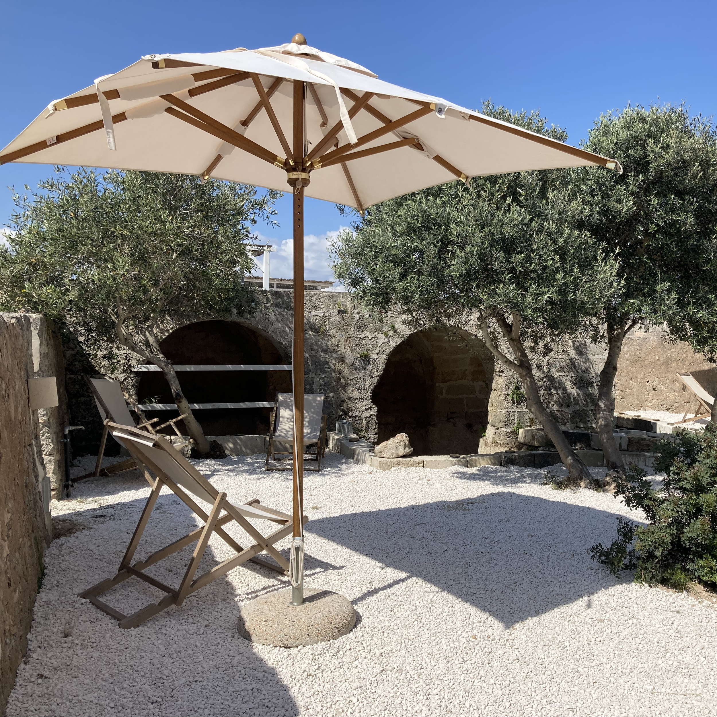 Olive Tree Garden