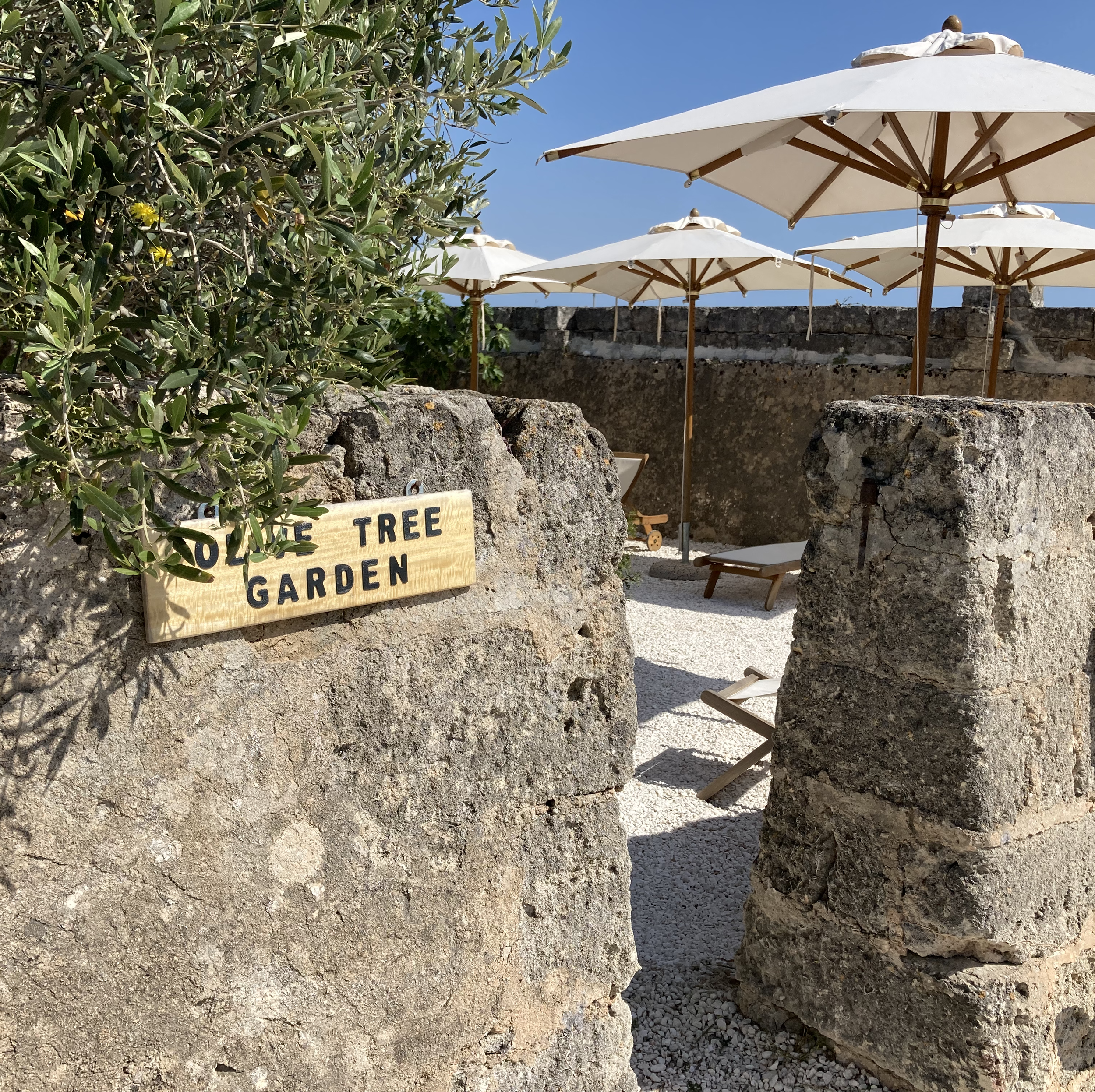 Olive Tree Garden