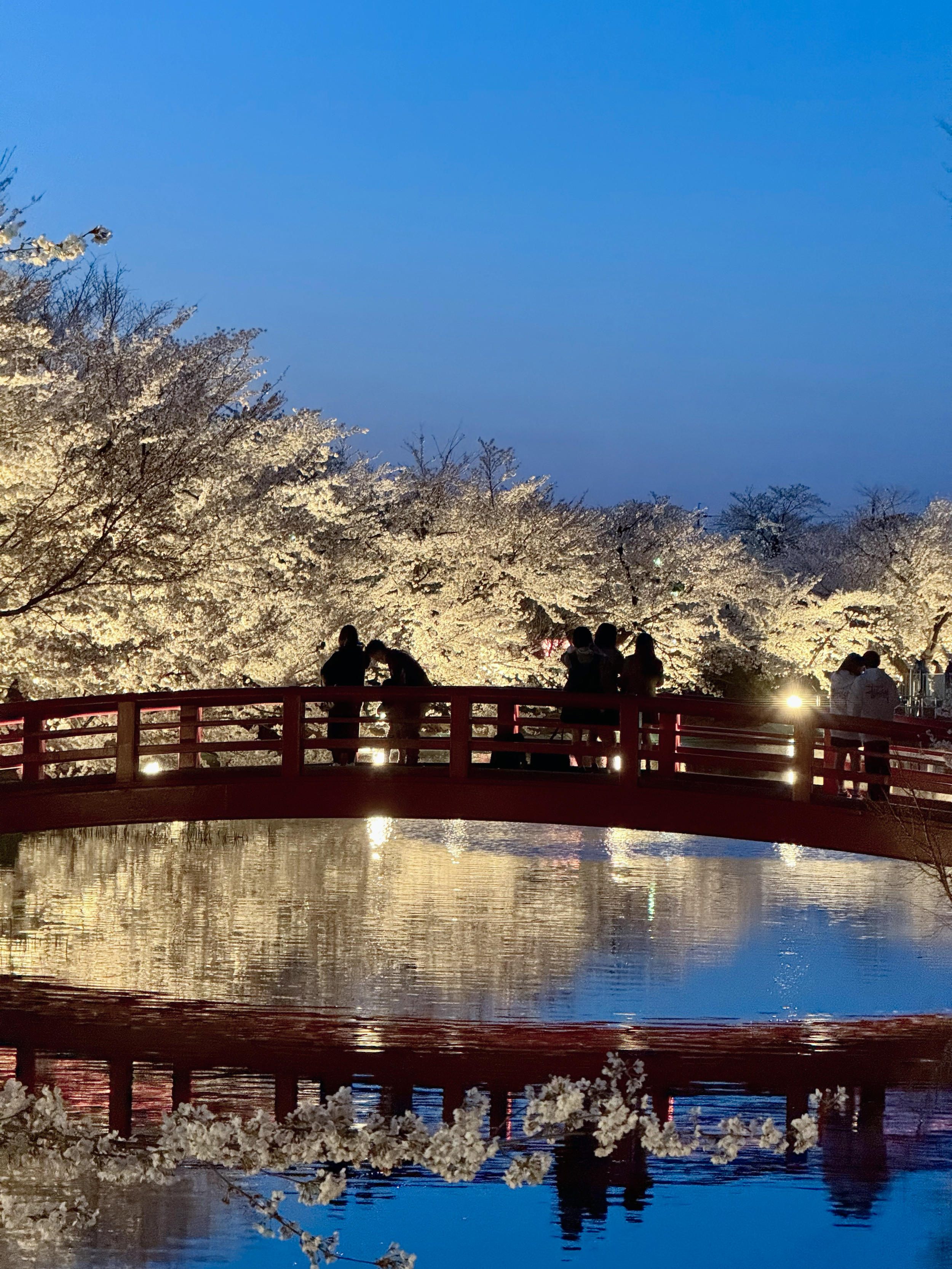 People on bridge in Japan