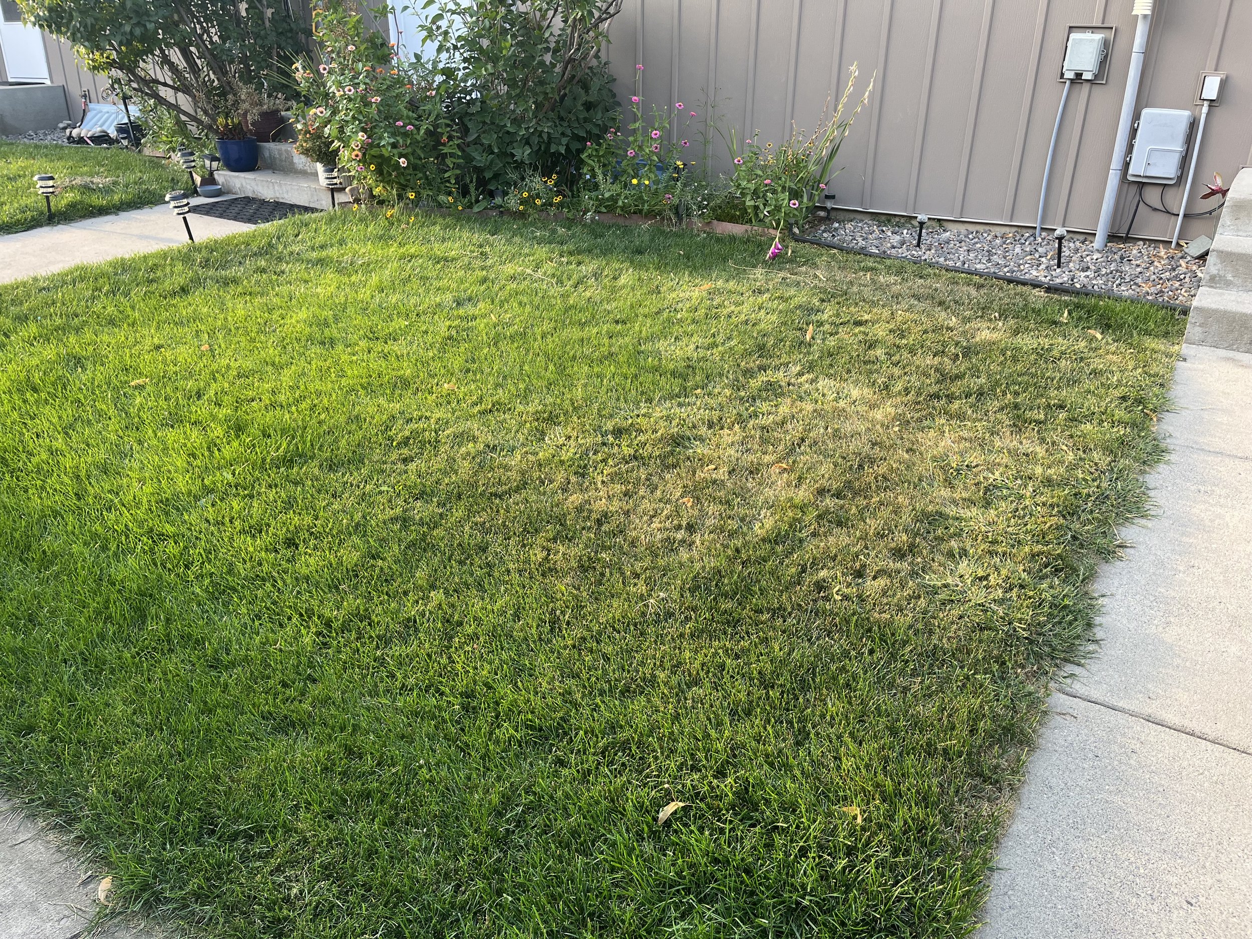 New sod, and landscape beds, with sprinklers being moved forwards away from housing.