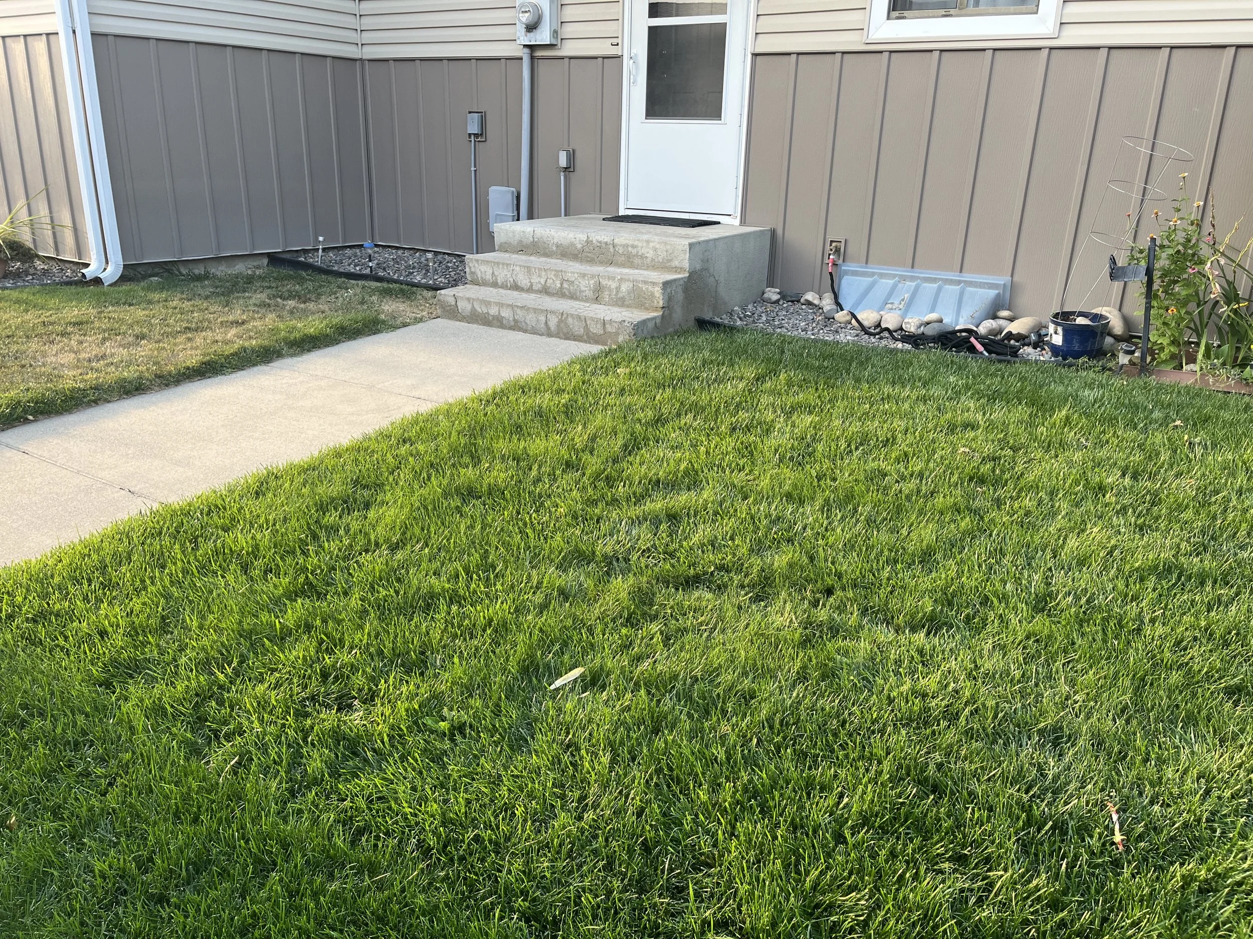 New sod, and landscape beds, with sprinklers being moved forwards away from housing.