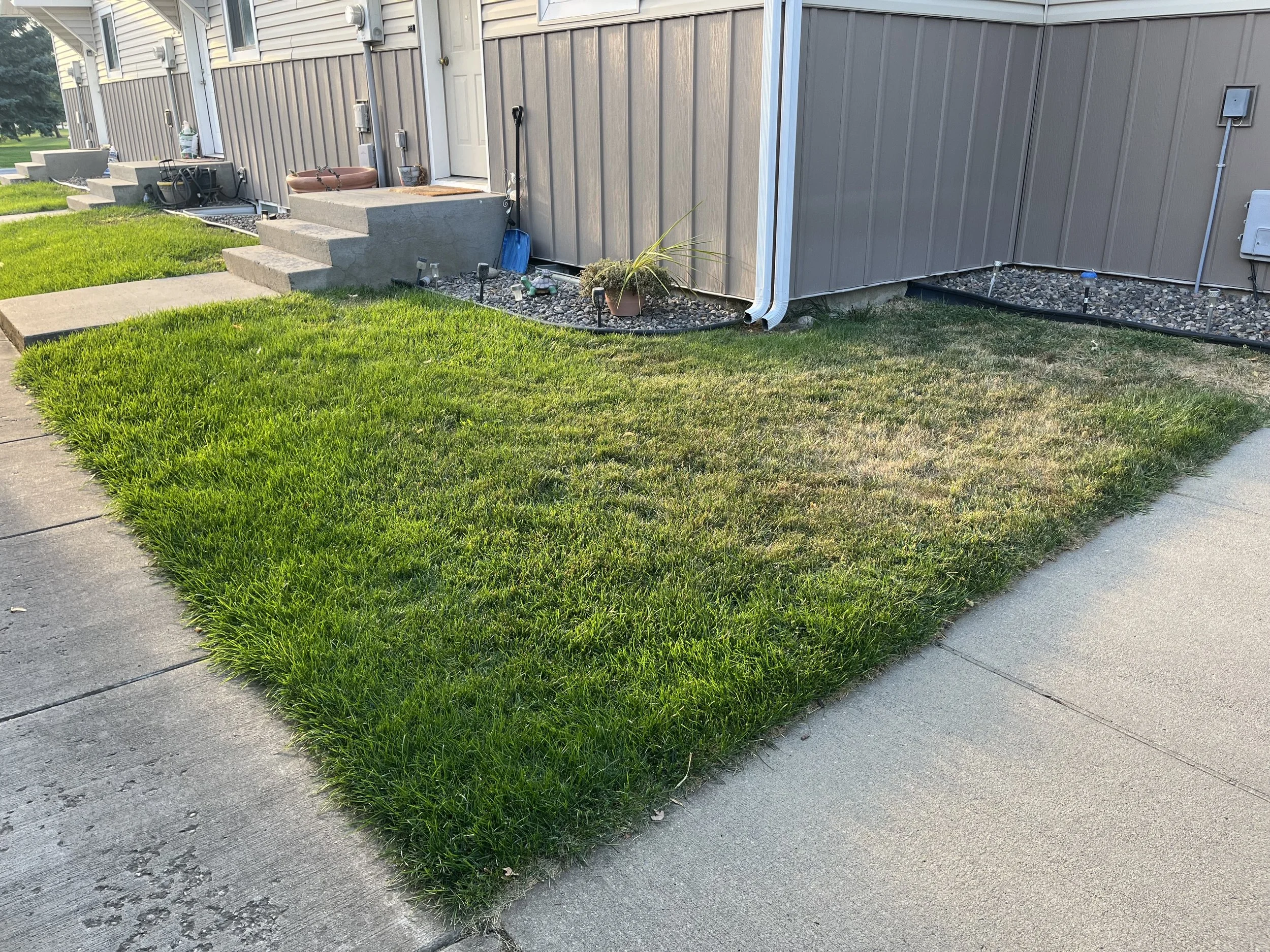 New sod, and landscape beds, with sprinklers being moved forwards away from housing.
