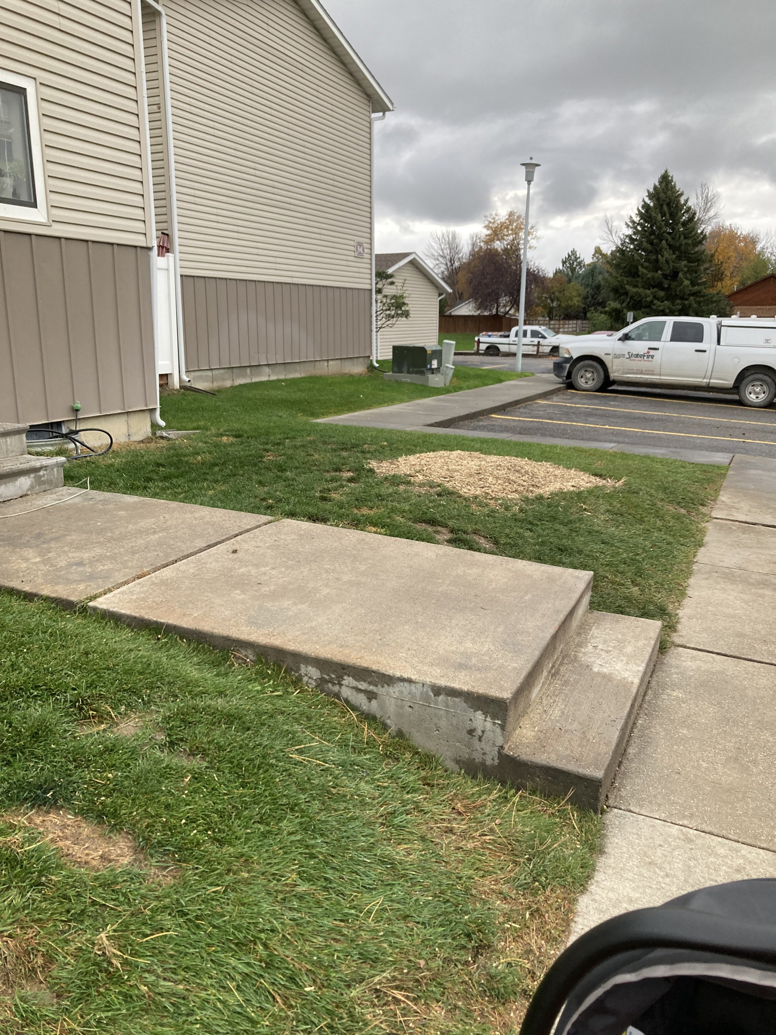 Pine Tree removed