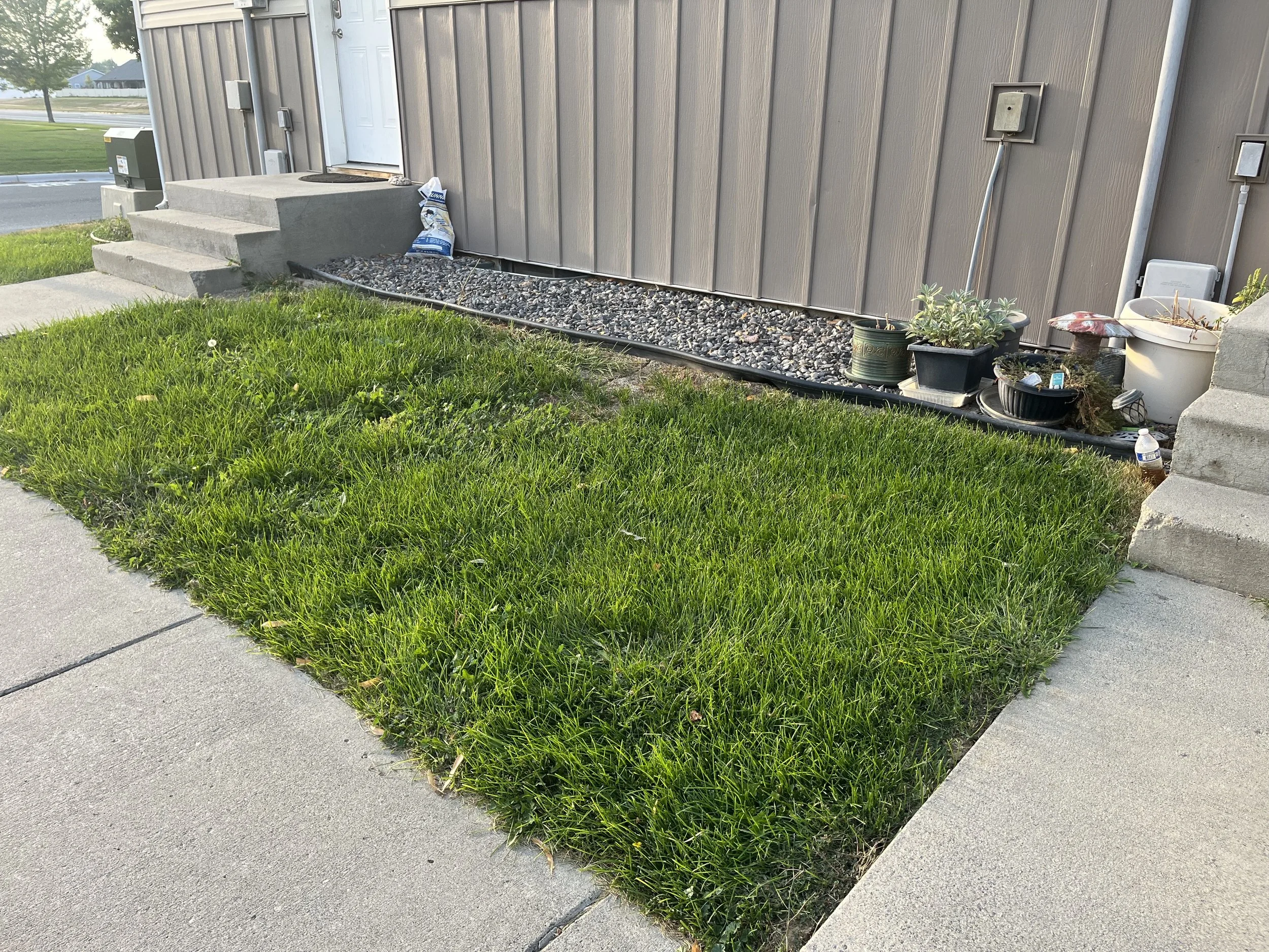 New sod, and landscape beds, with sprinklers being moved forwards away from housing.