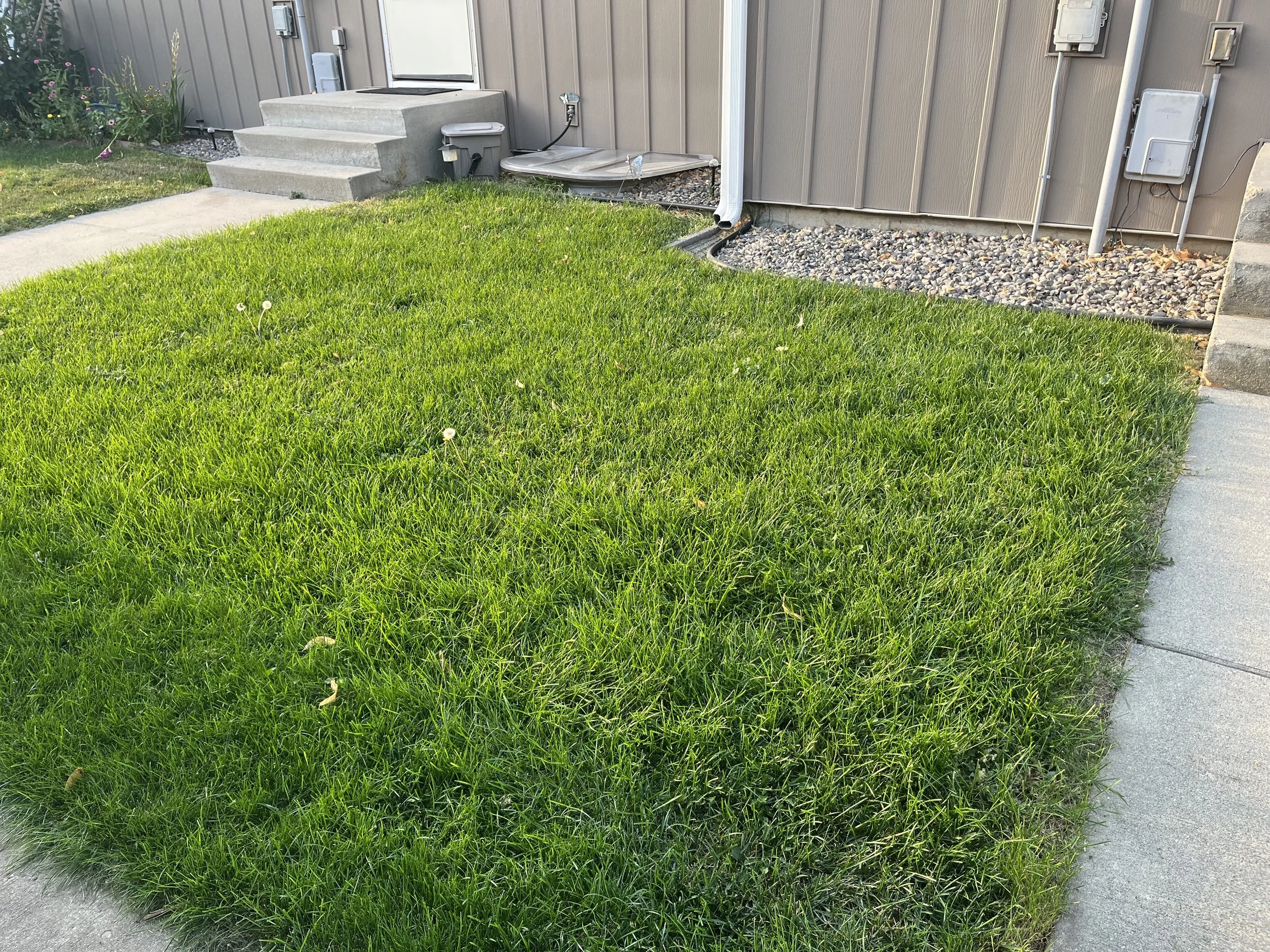 New sod, and landscape beds, with sprinklers being moved forwards away from housing.