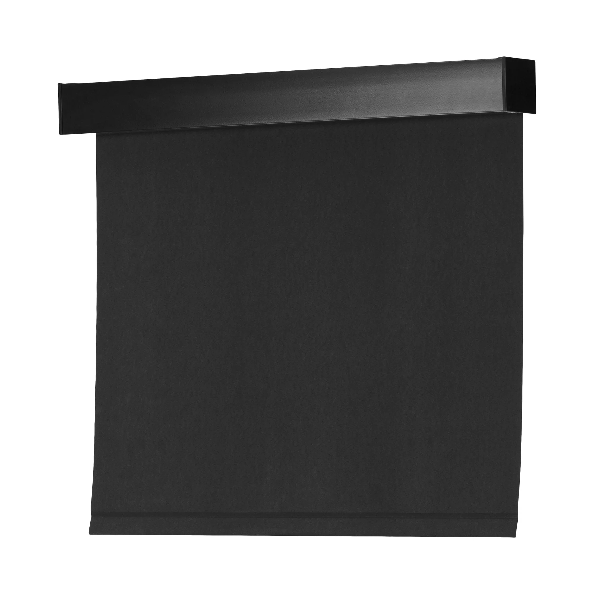 Clara Ebony - white background.jpg