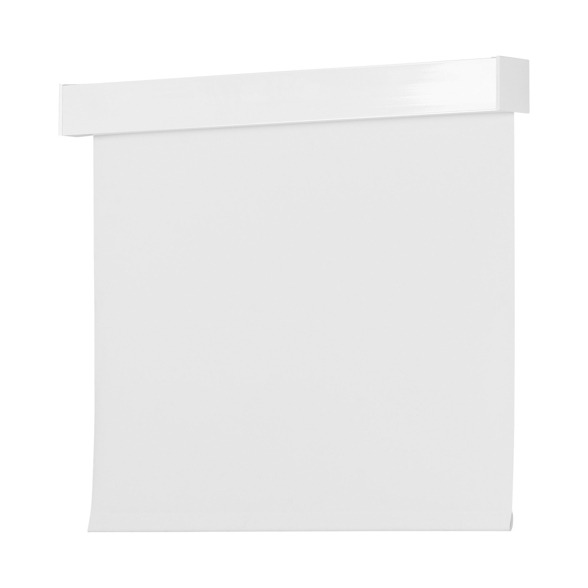 Clara White - white background.jpg