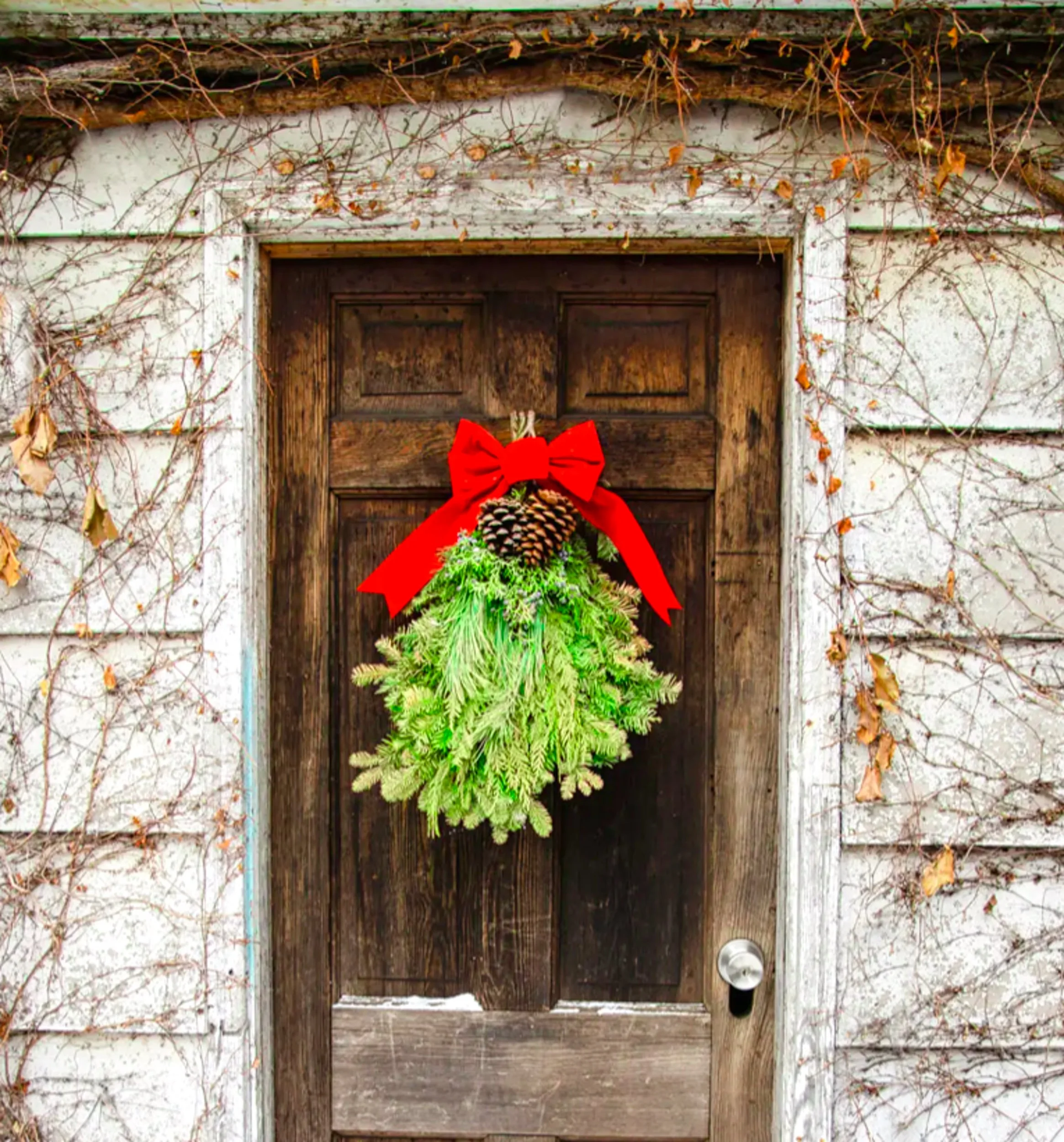 Screen Shot 2025-11-28 at 2.55.15 PM.jpeg