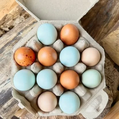 Fresh Pasture-Raised Chicken Eggs