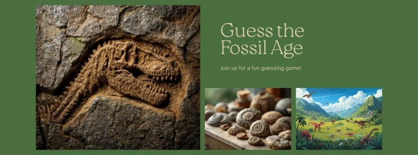 Guess How Old It Is! Fossil Challenge + Tarot Readings 
