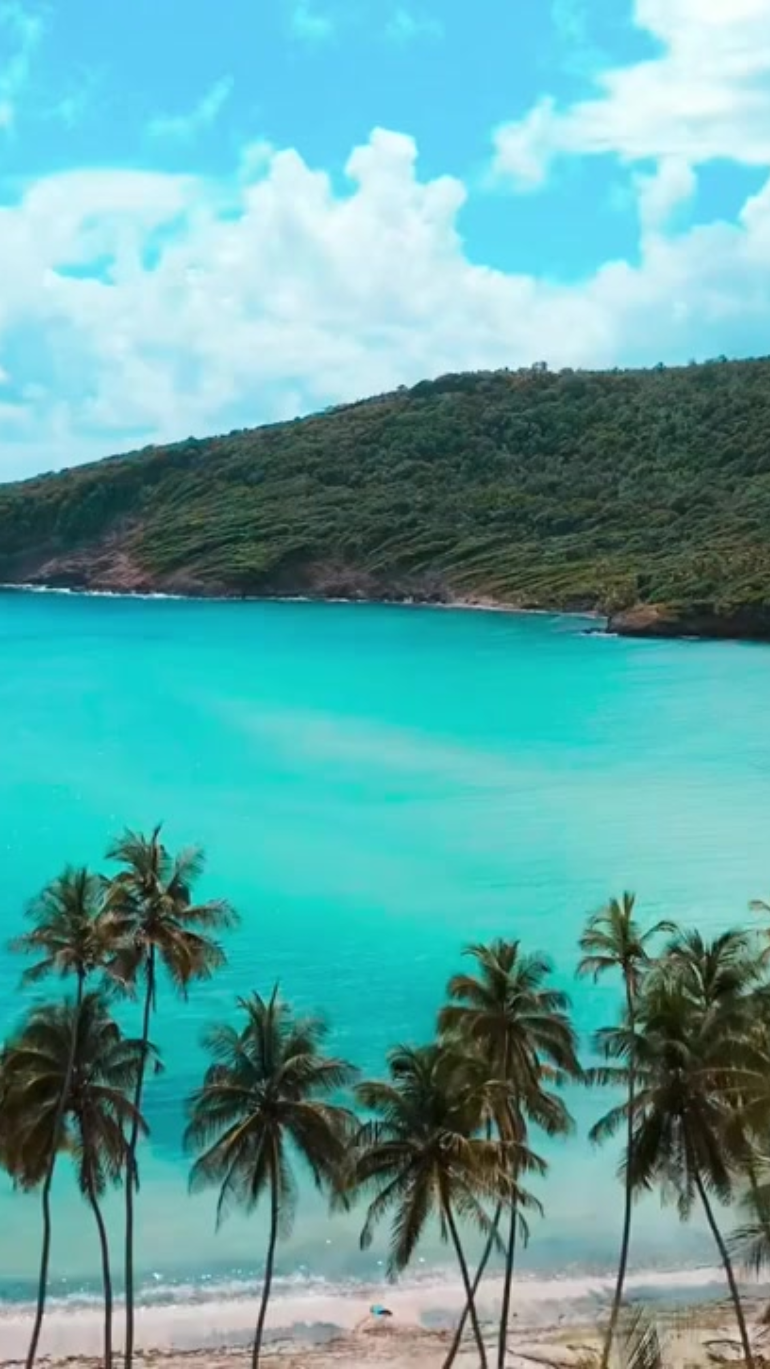 Untitled design-17.png