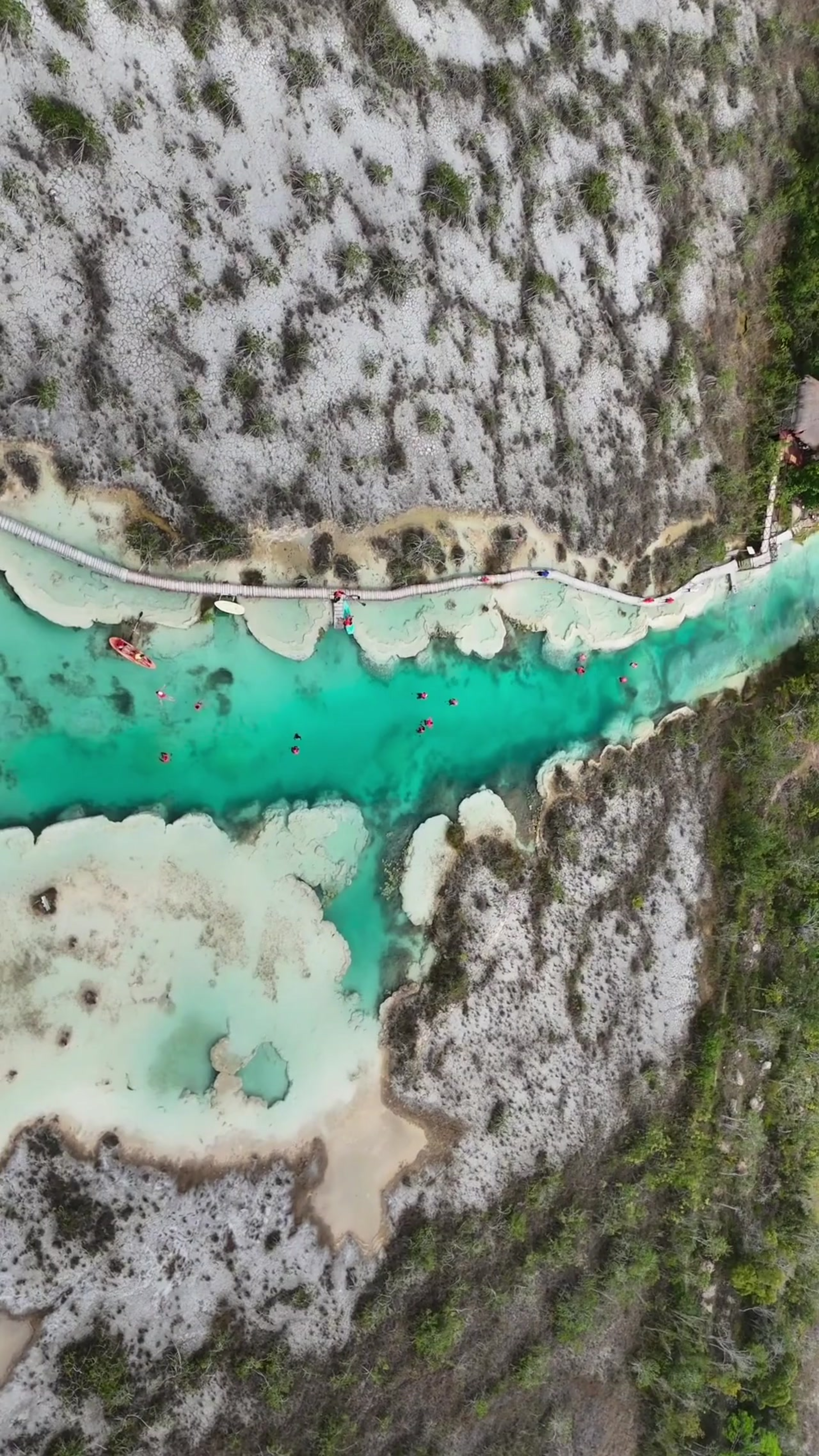 Untitled design-19.png