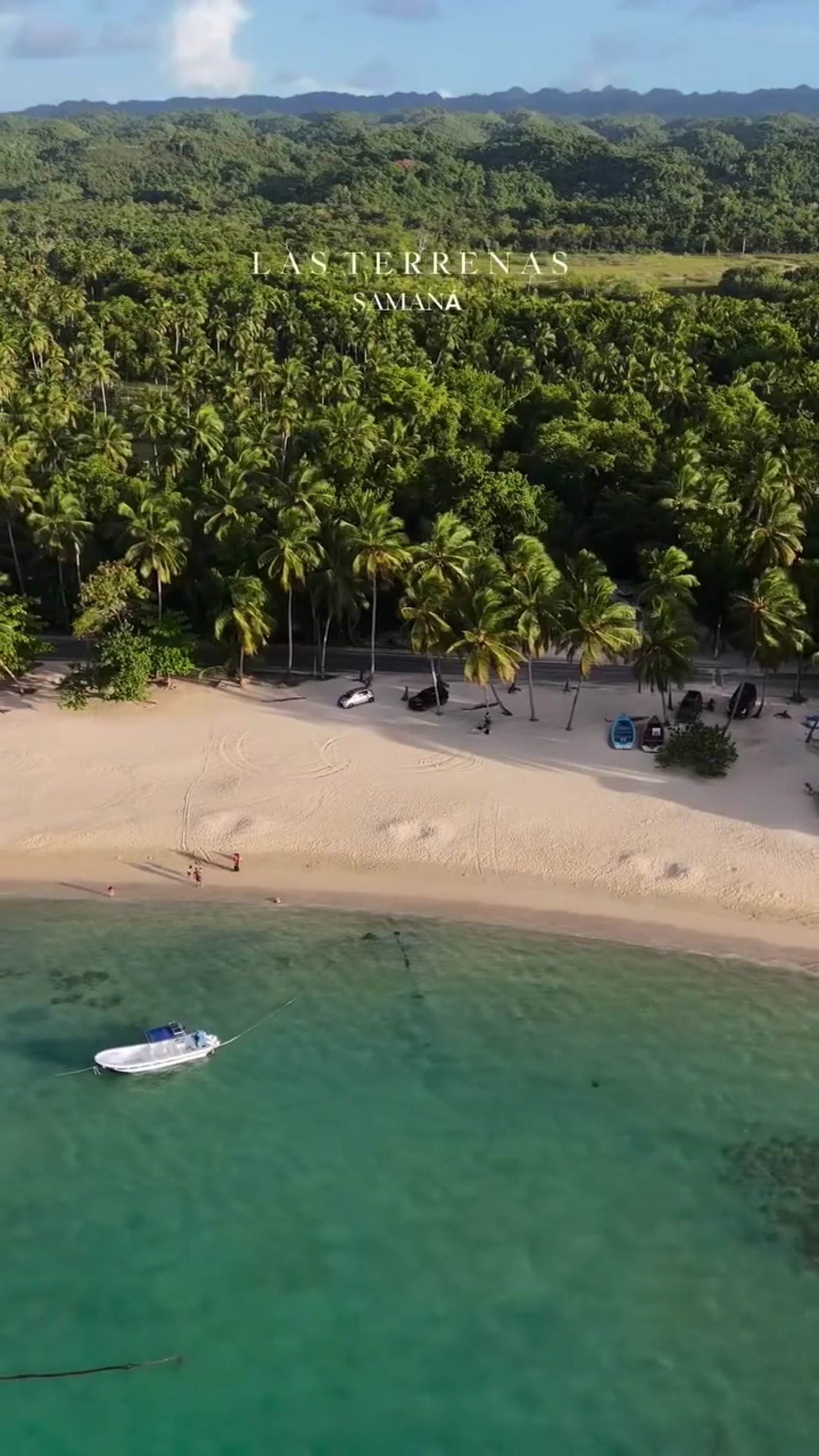 Untitled design-7.png