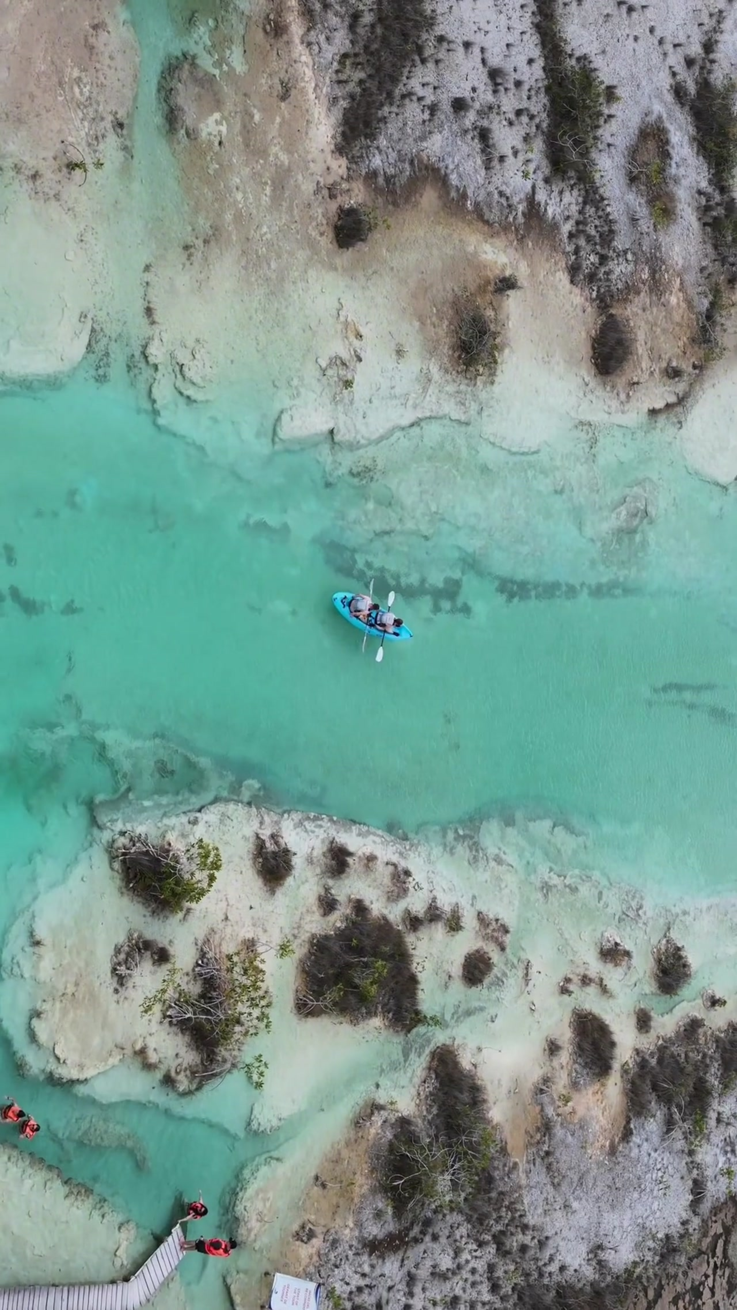 Untitled design-20.png